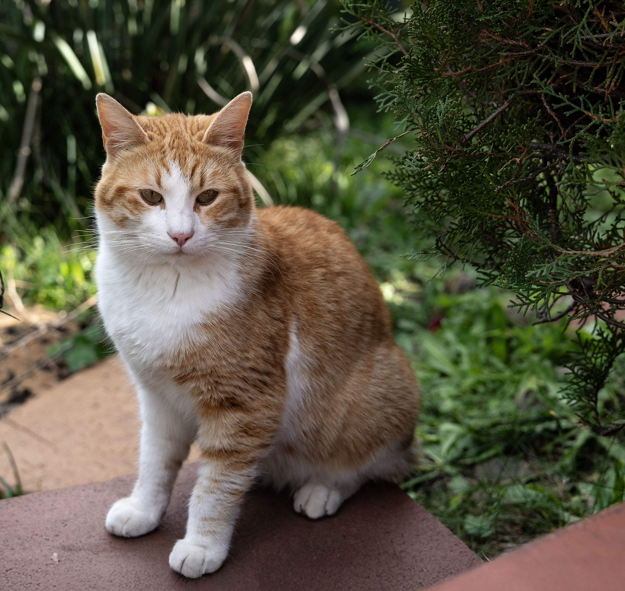 ... It all slips on me