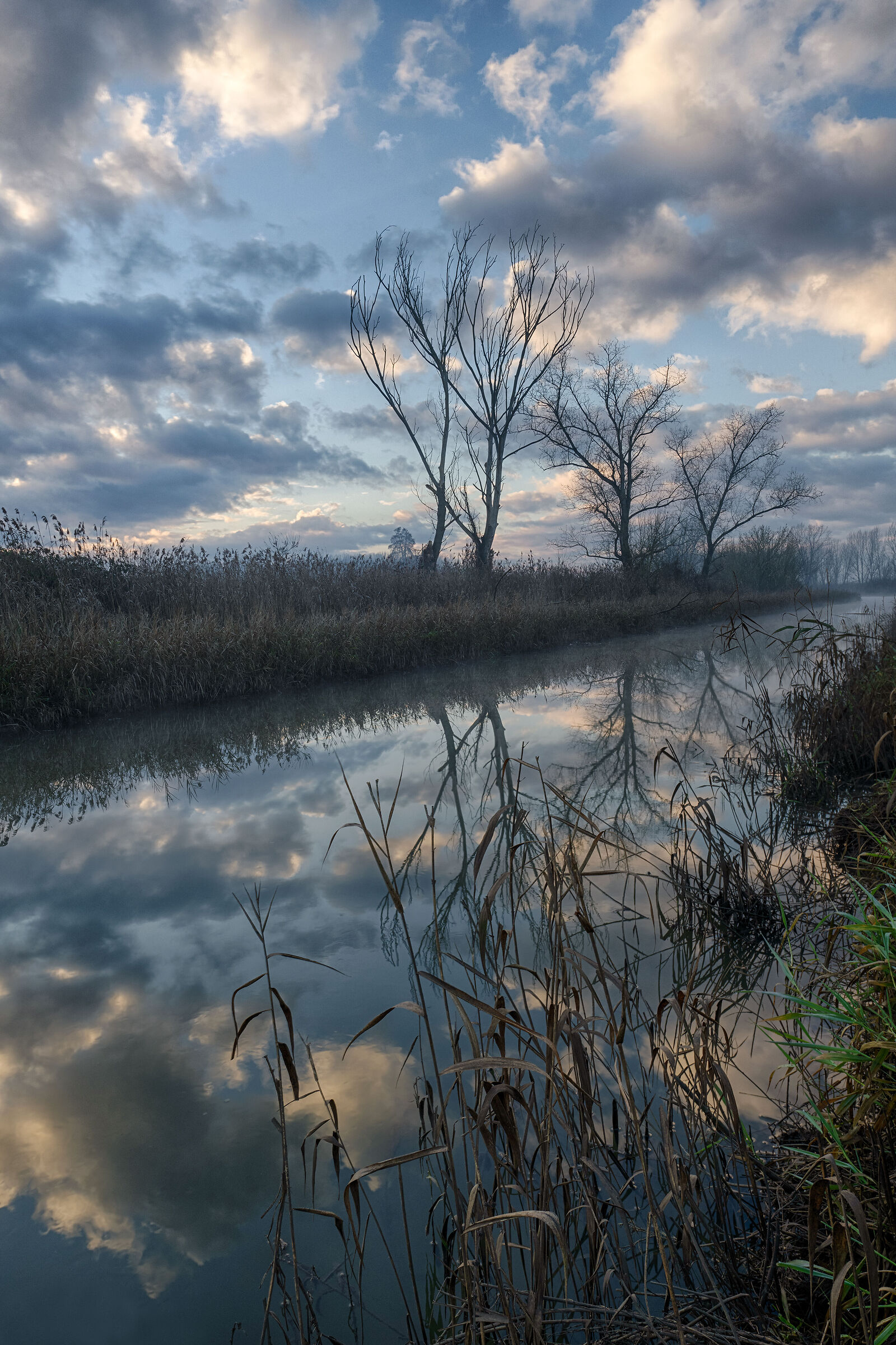 Reflections in marshes