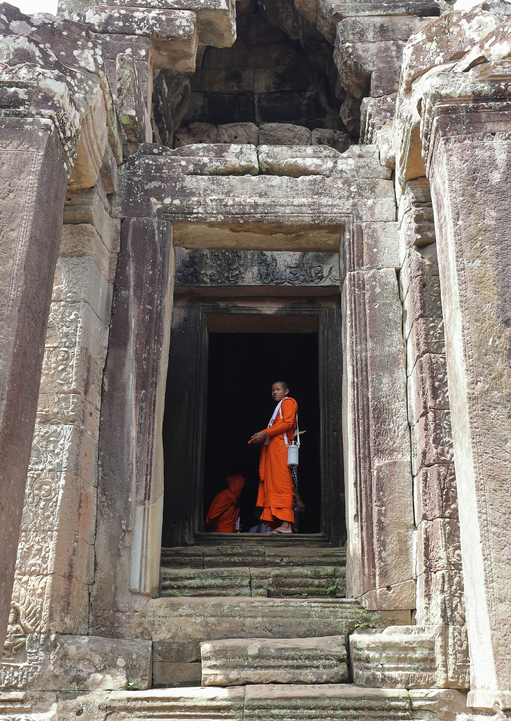 "the young monk"