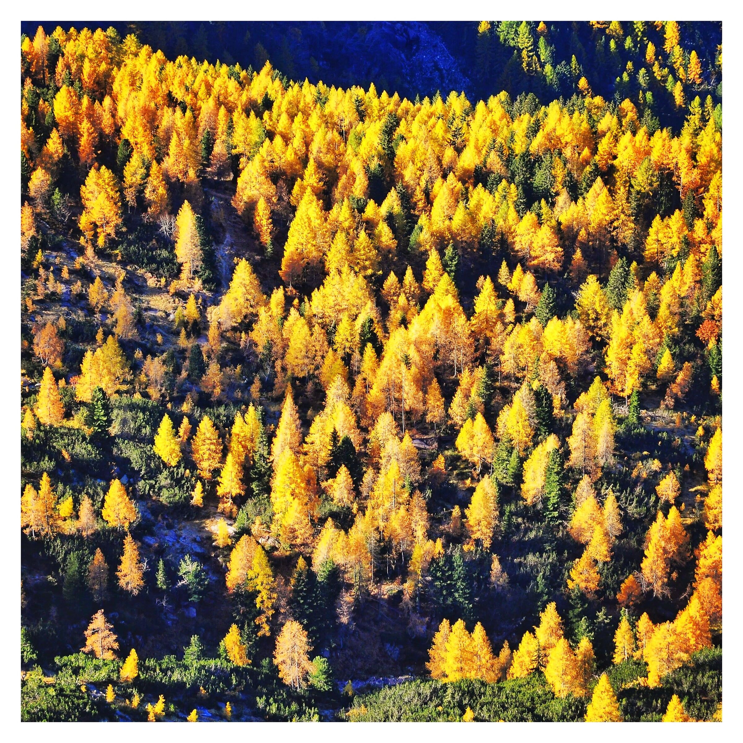 Autunno sulle prealpi venete