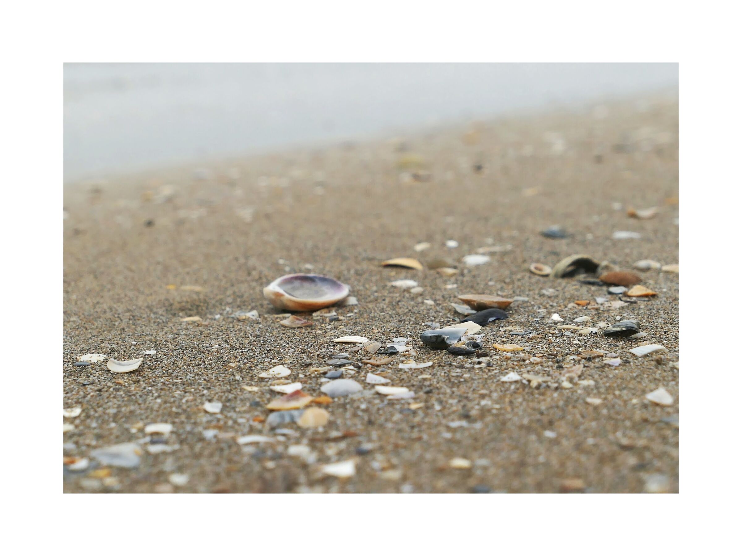 il mare d'inverno