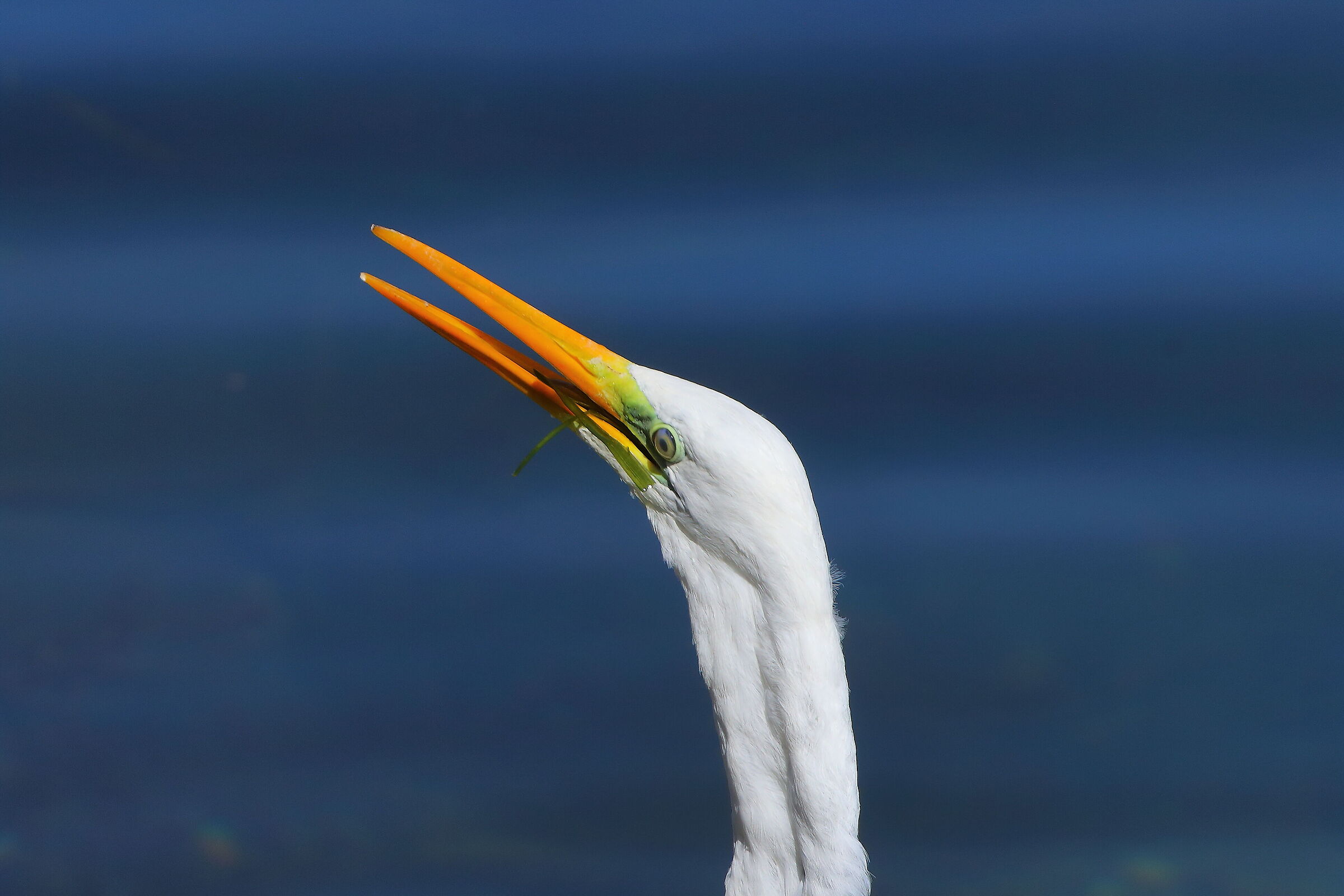 ABM 06 settembre 2025 - 0120