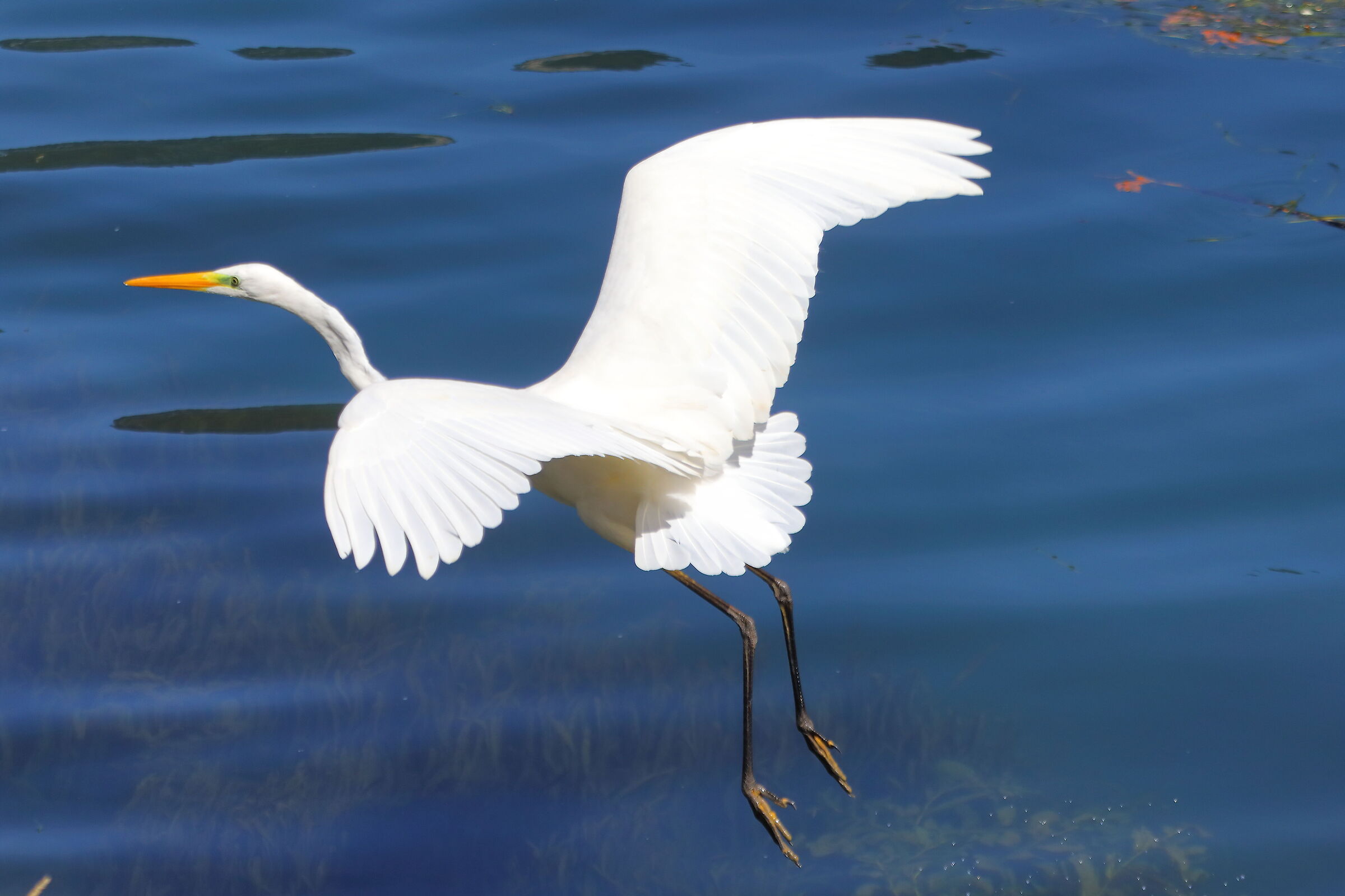 ABM 06 settembre 2025 - 0122