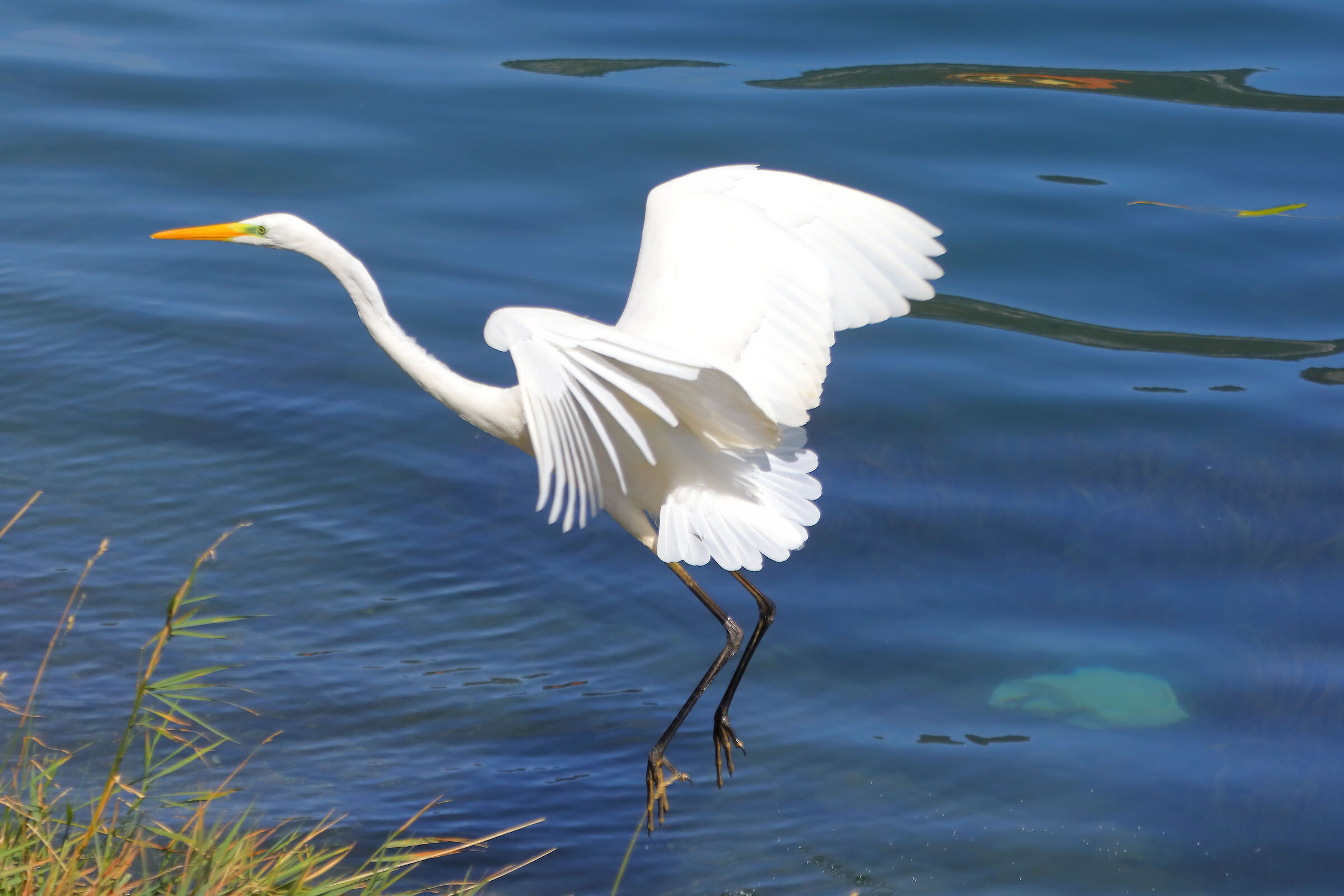 ABM 06 settembre 2025 - 0126