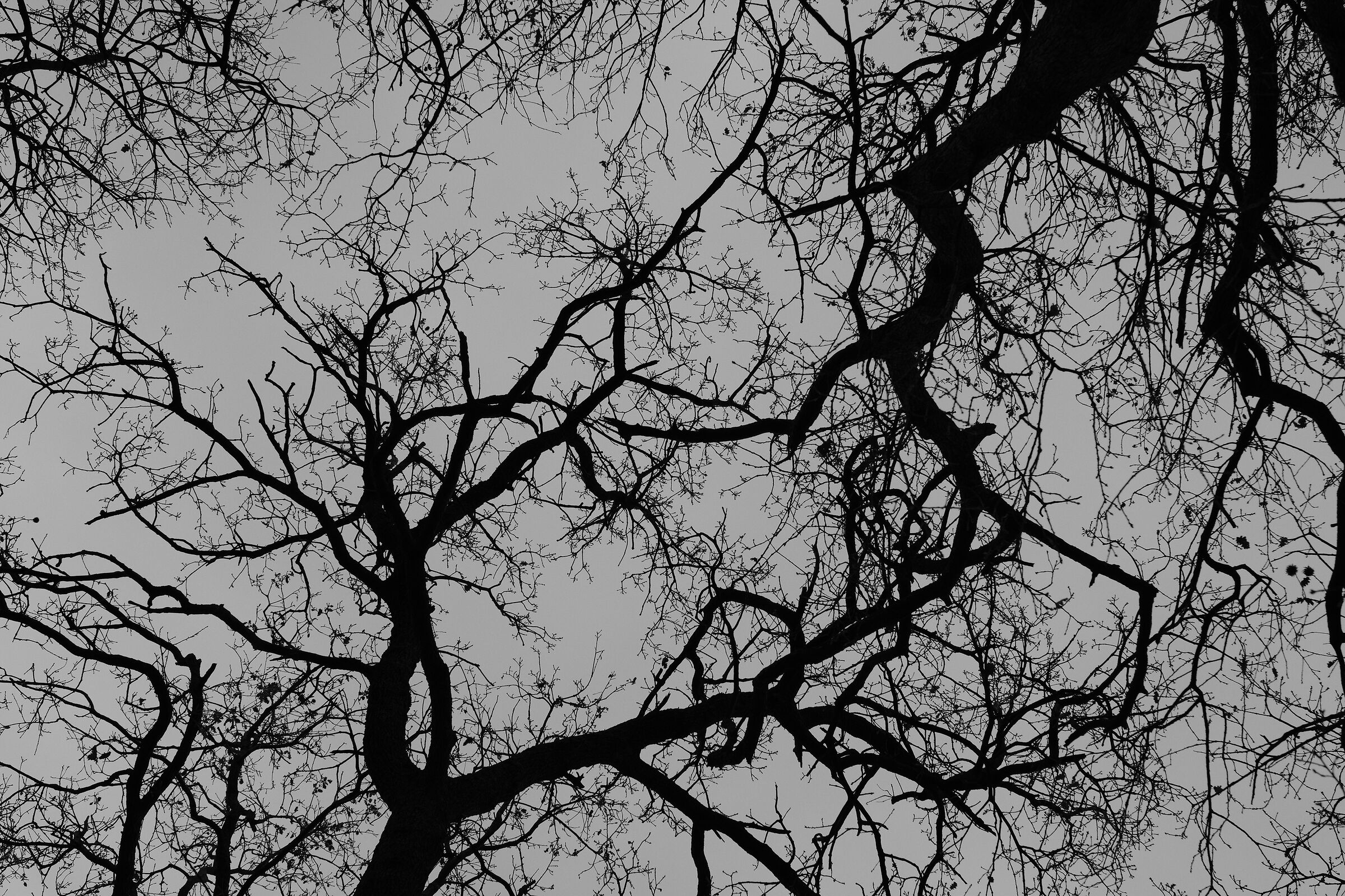 Situazione arruffata, confusa... intrigo