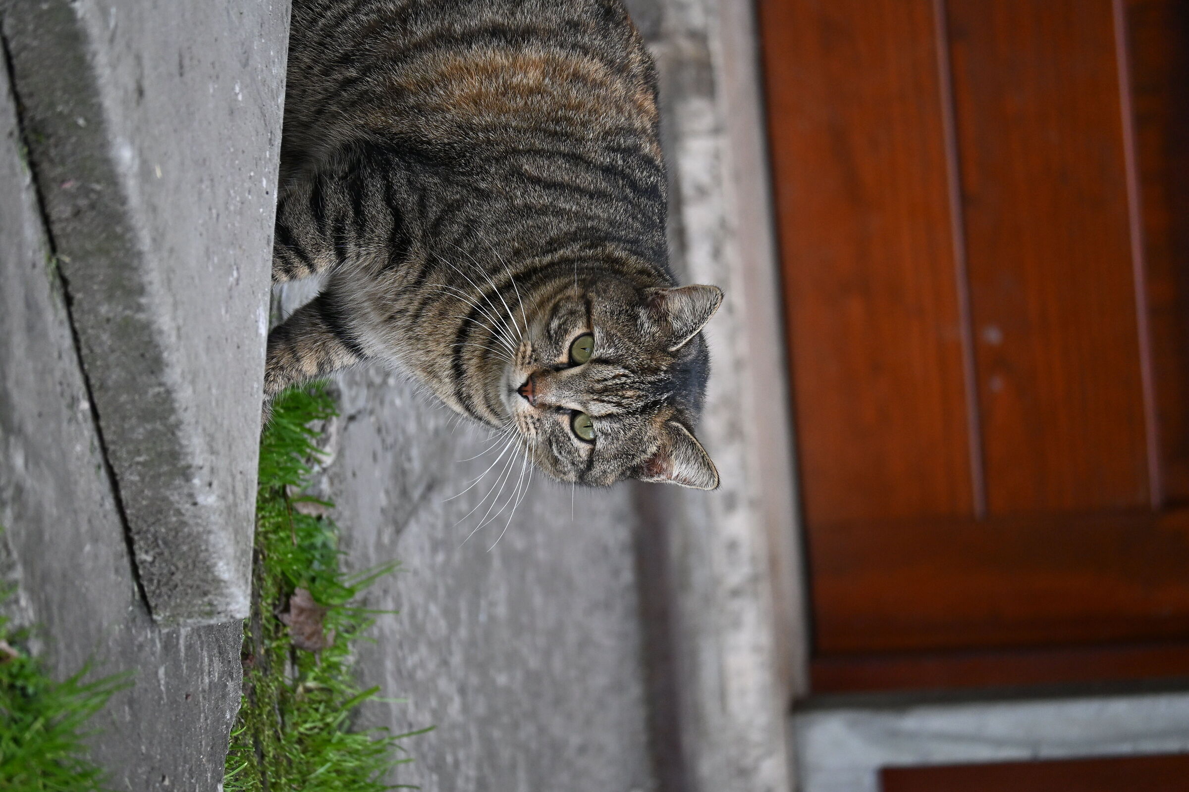 Waiting to enter the house