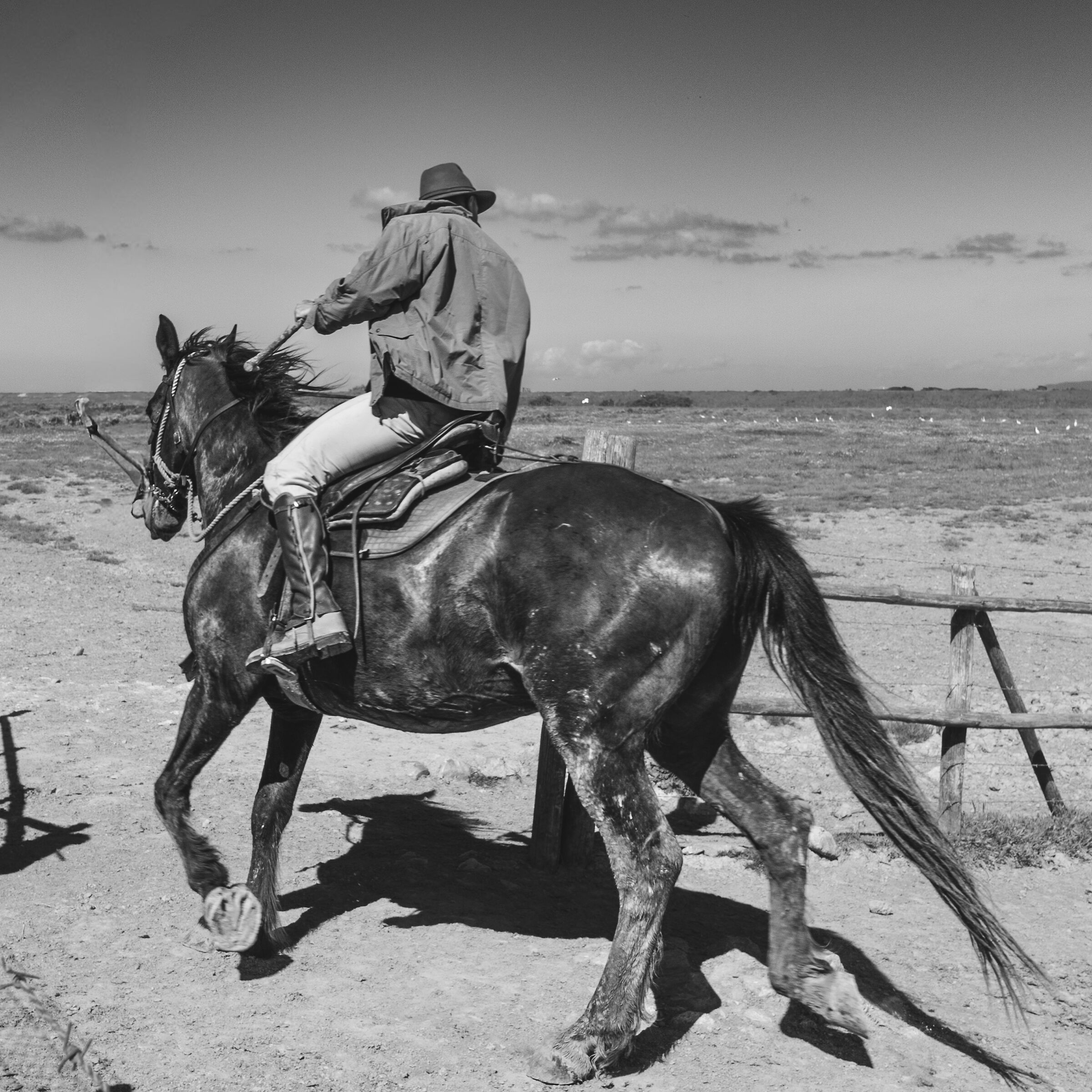 The cowboys of the Maremma of Alberese