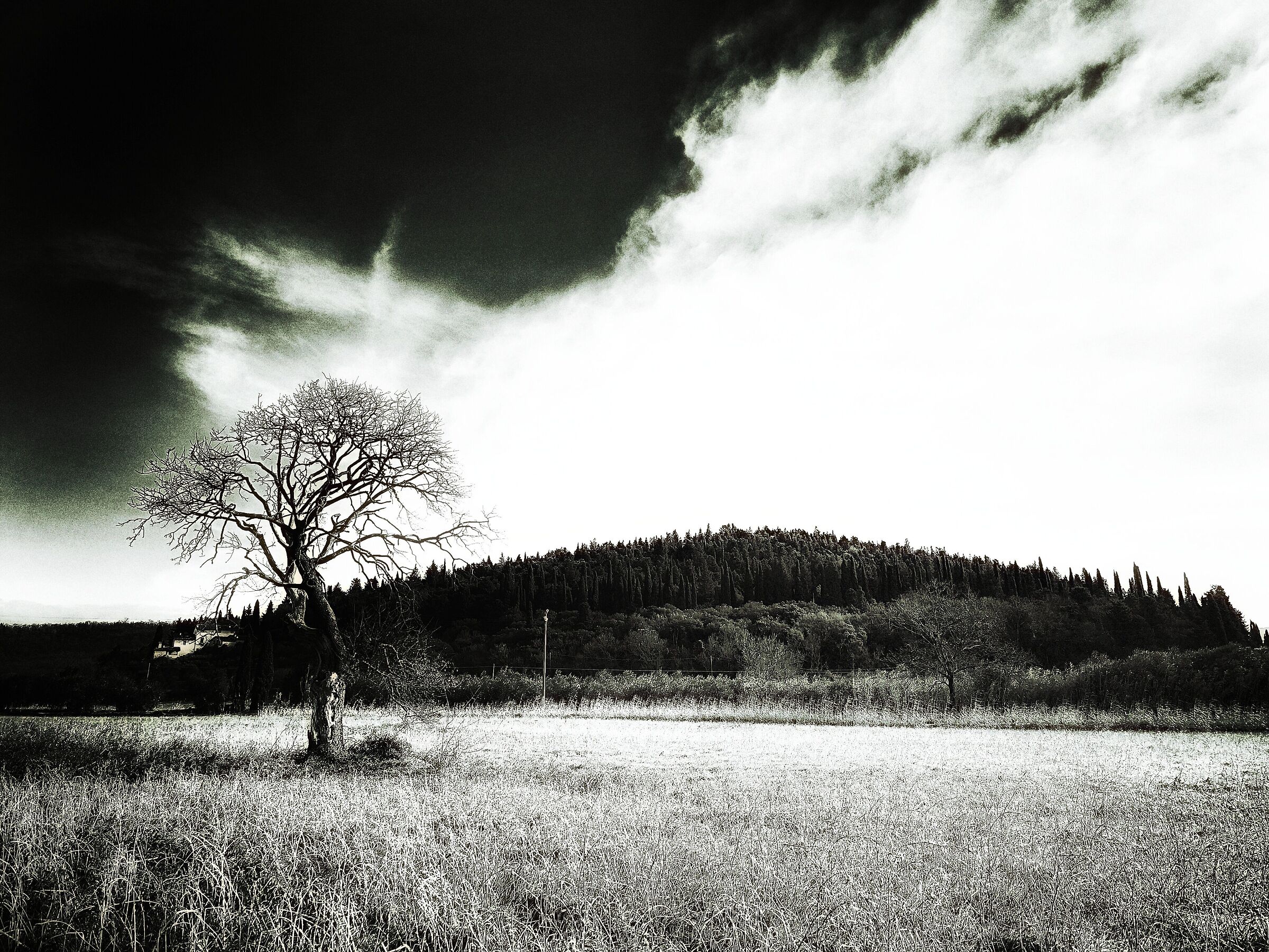 Exact solitude