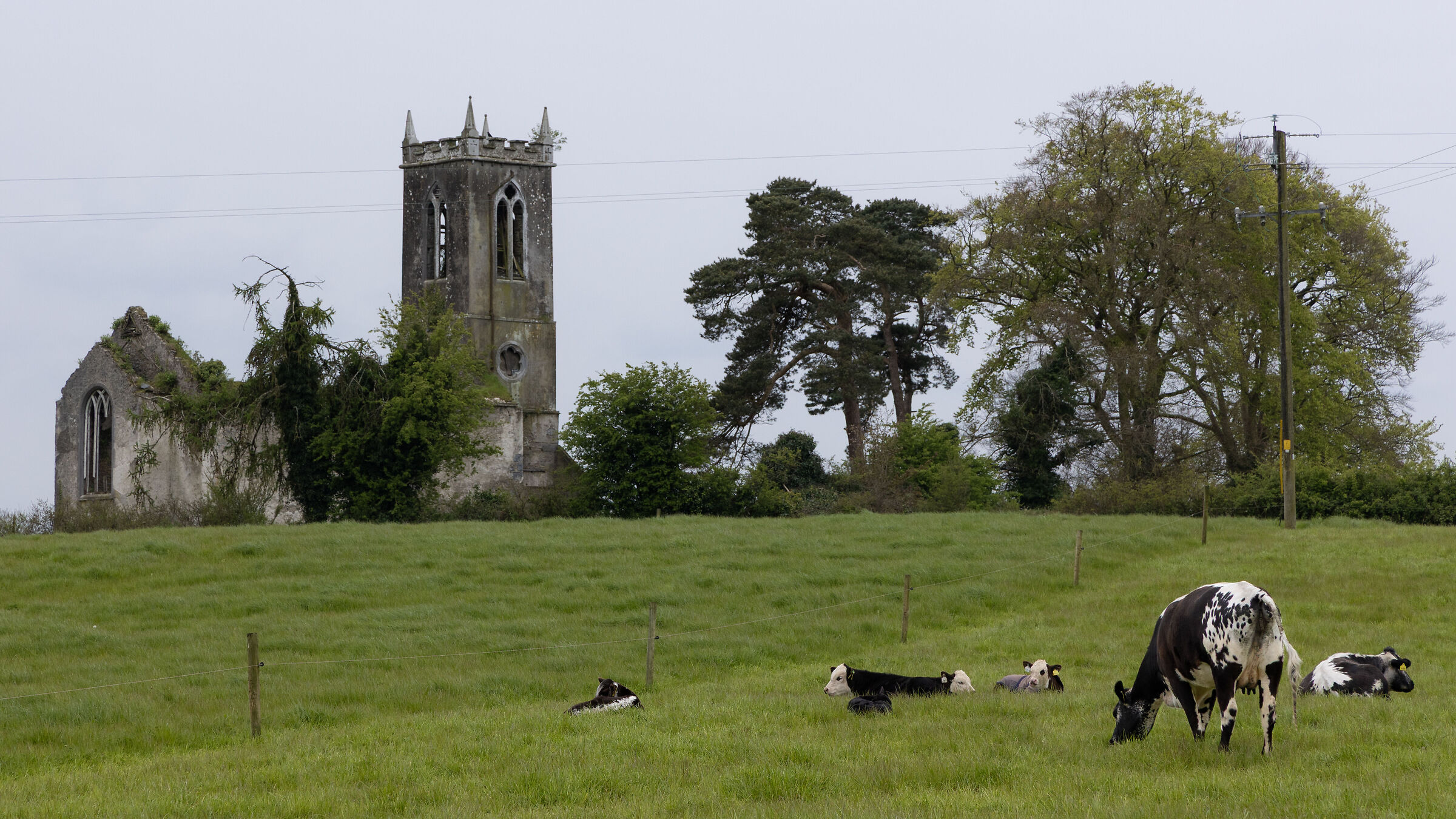 The Irish countryside