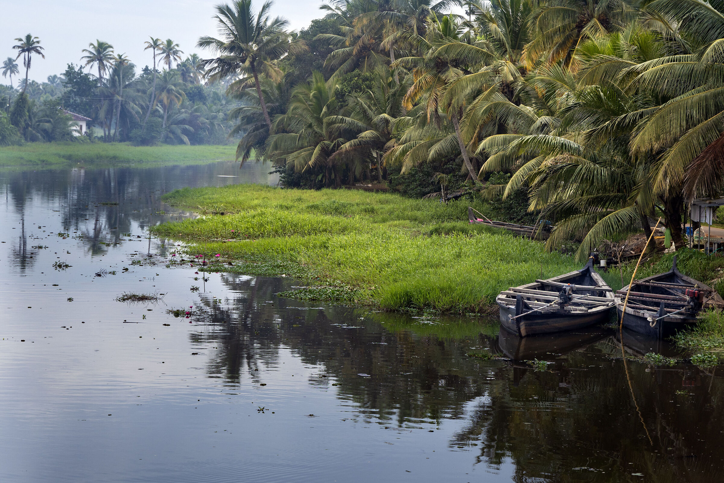Ciao dalla terra delle noci di cocco - Kerala, India