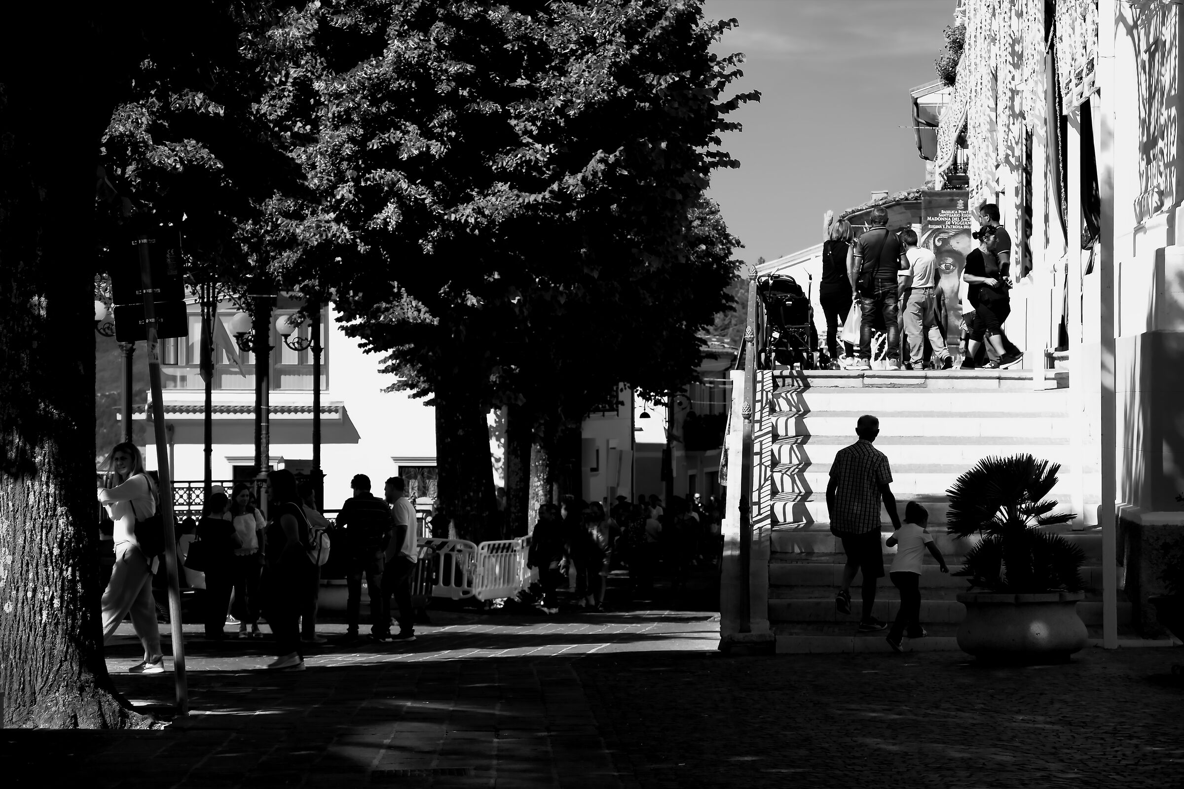 frammenti di vita verticale