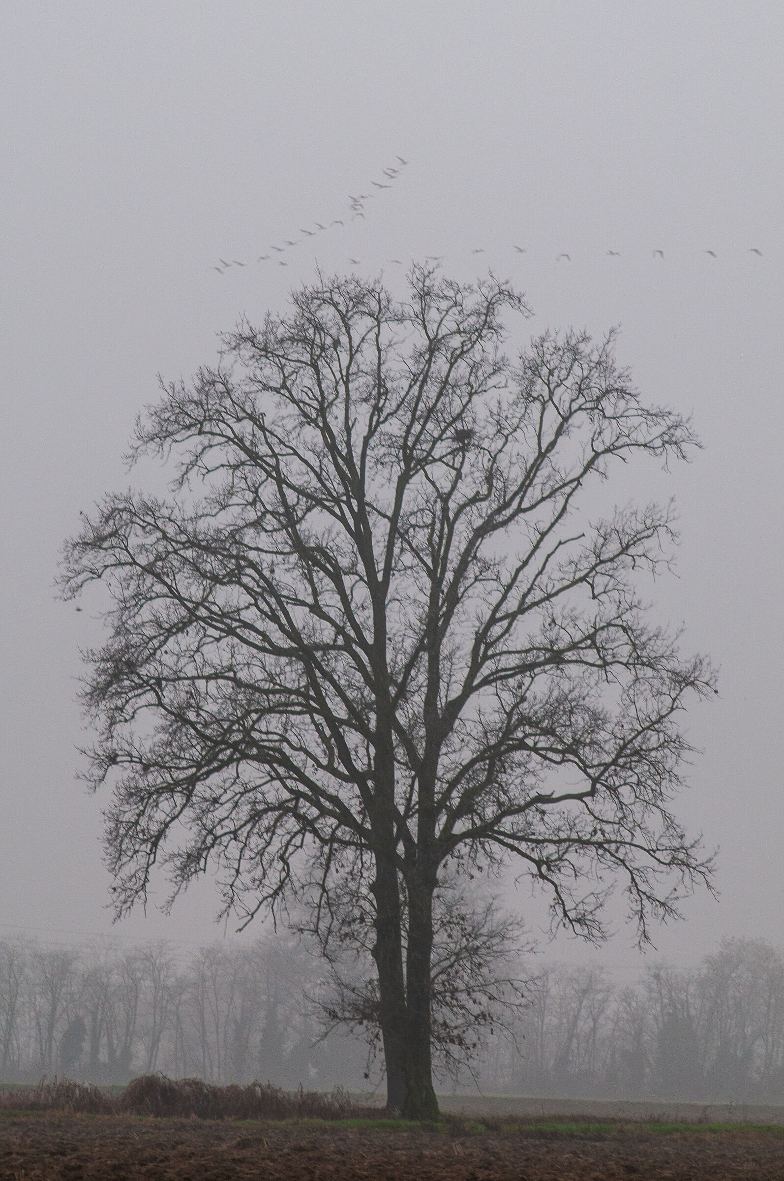 La magia della Natura