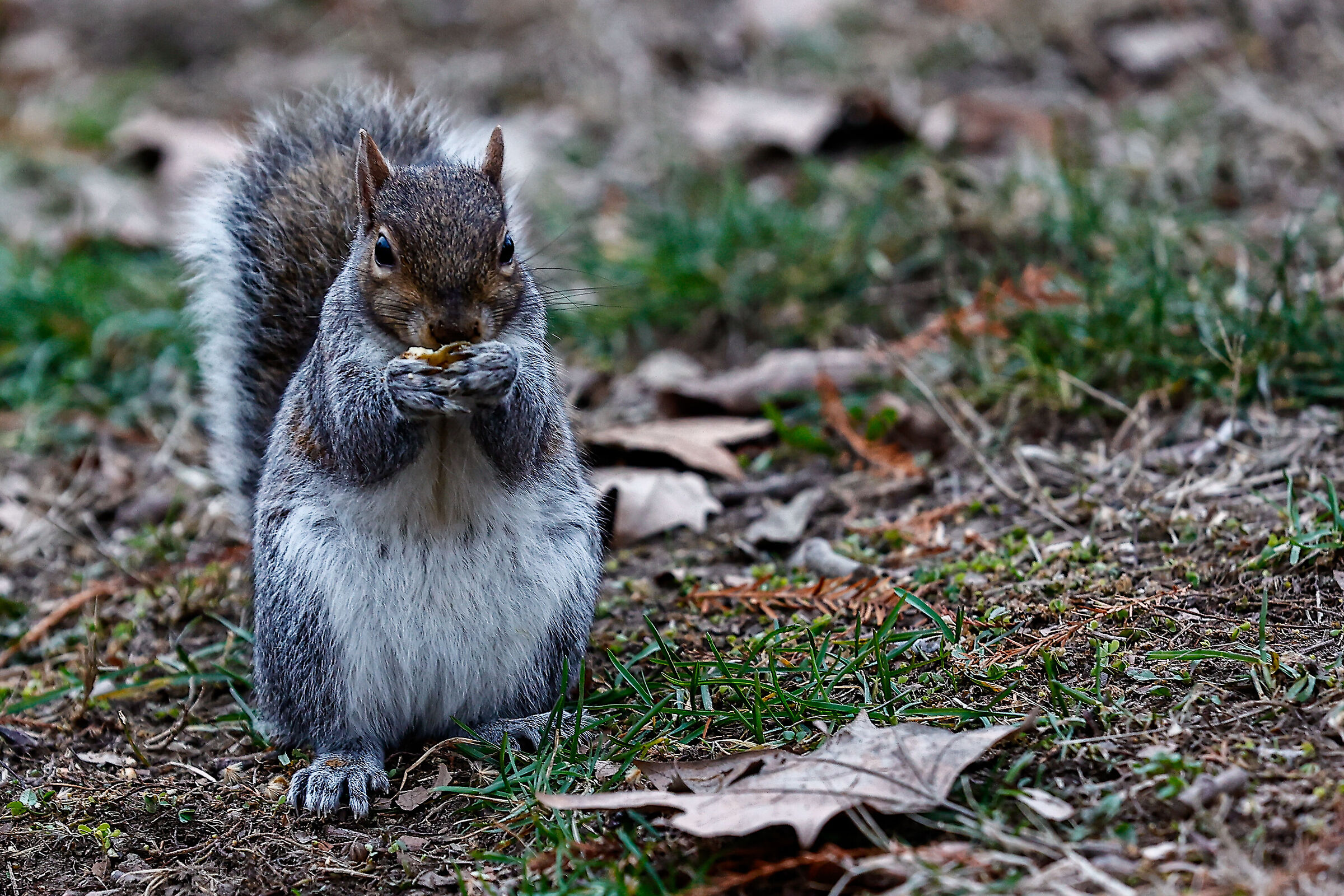 Enjoy your meal!
