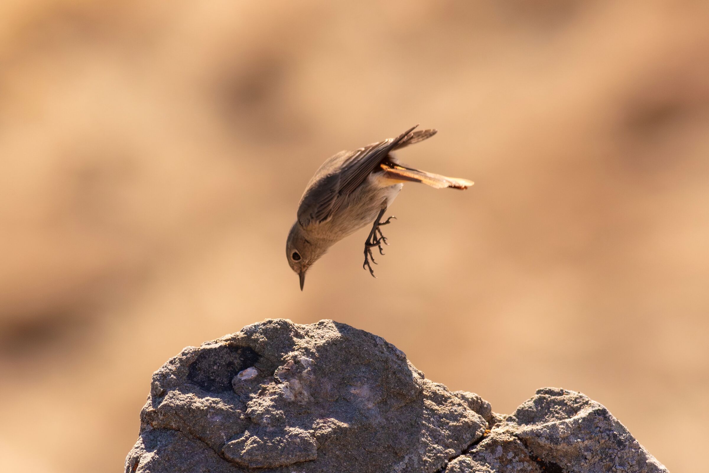 Chimney sweep base jumper