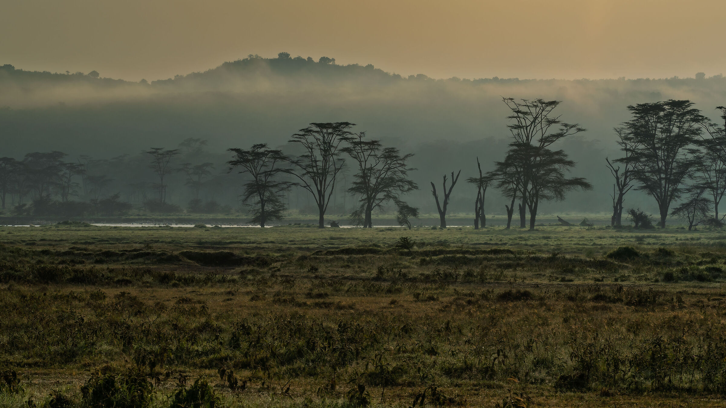 Sunrise in Nakuru