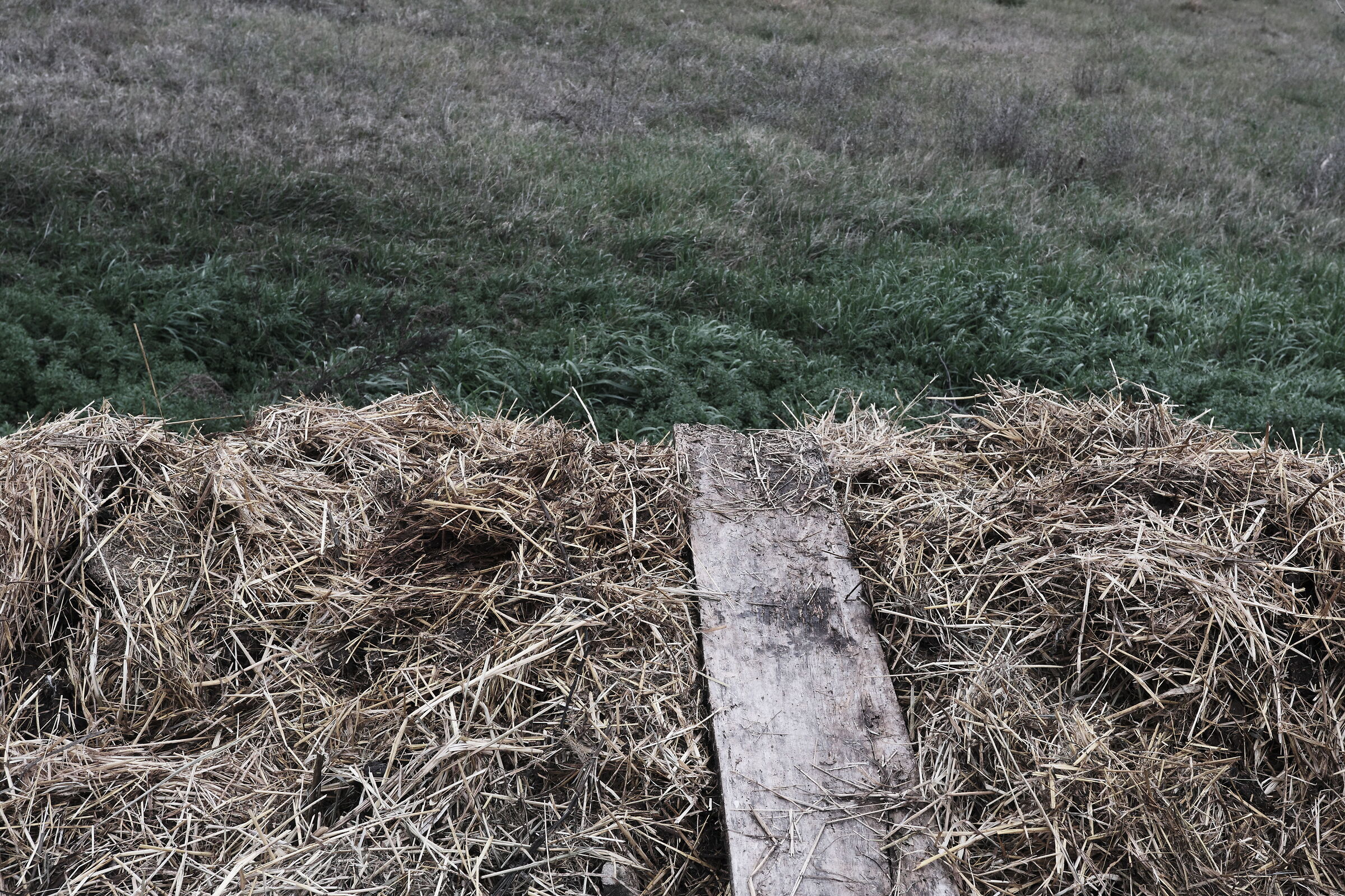 Nothing comes from diamonds...