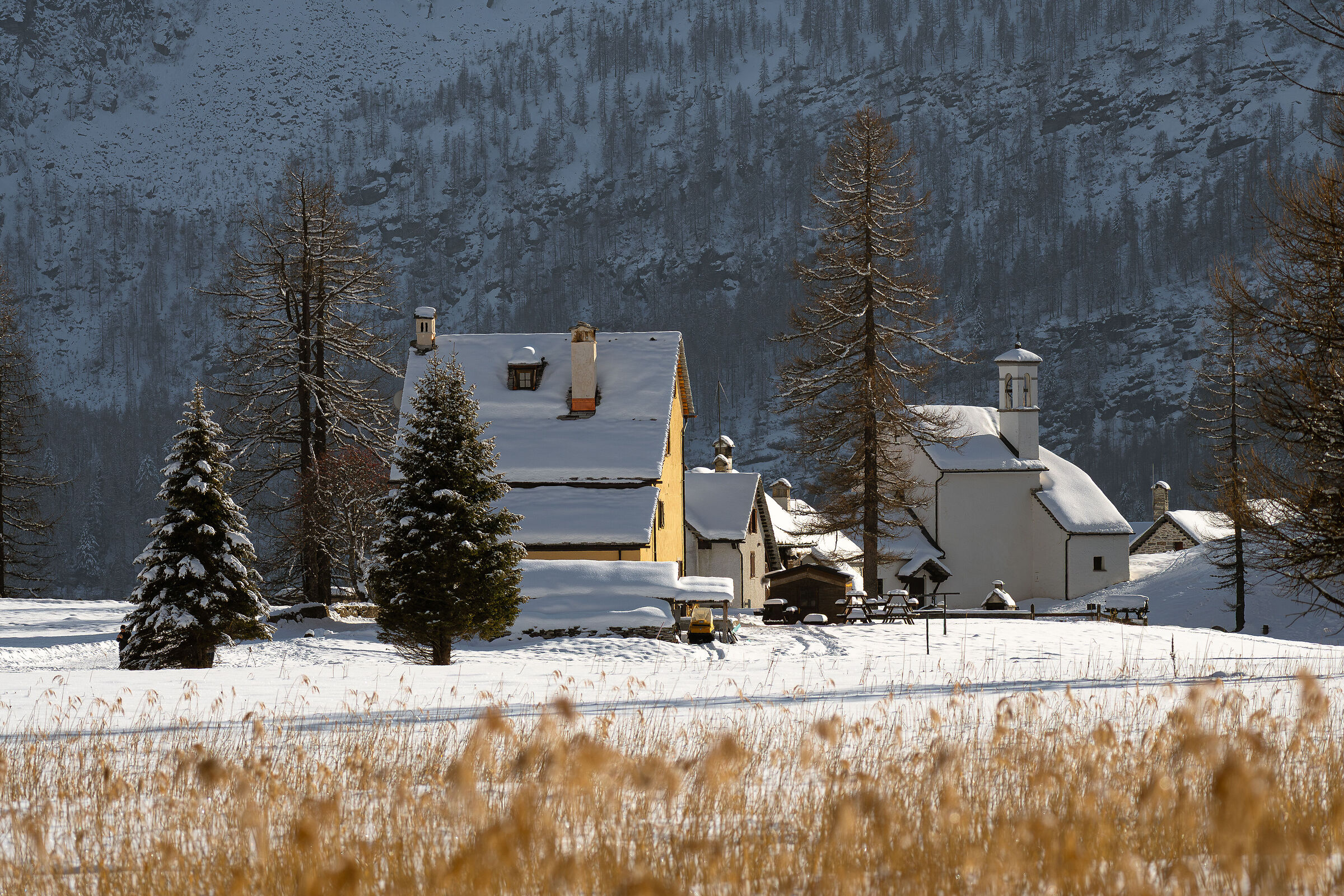 Alpe Devero