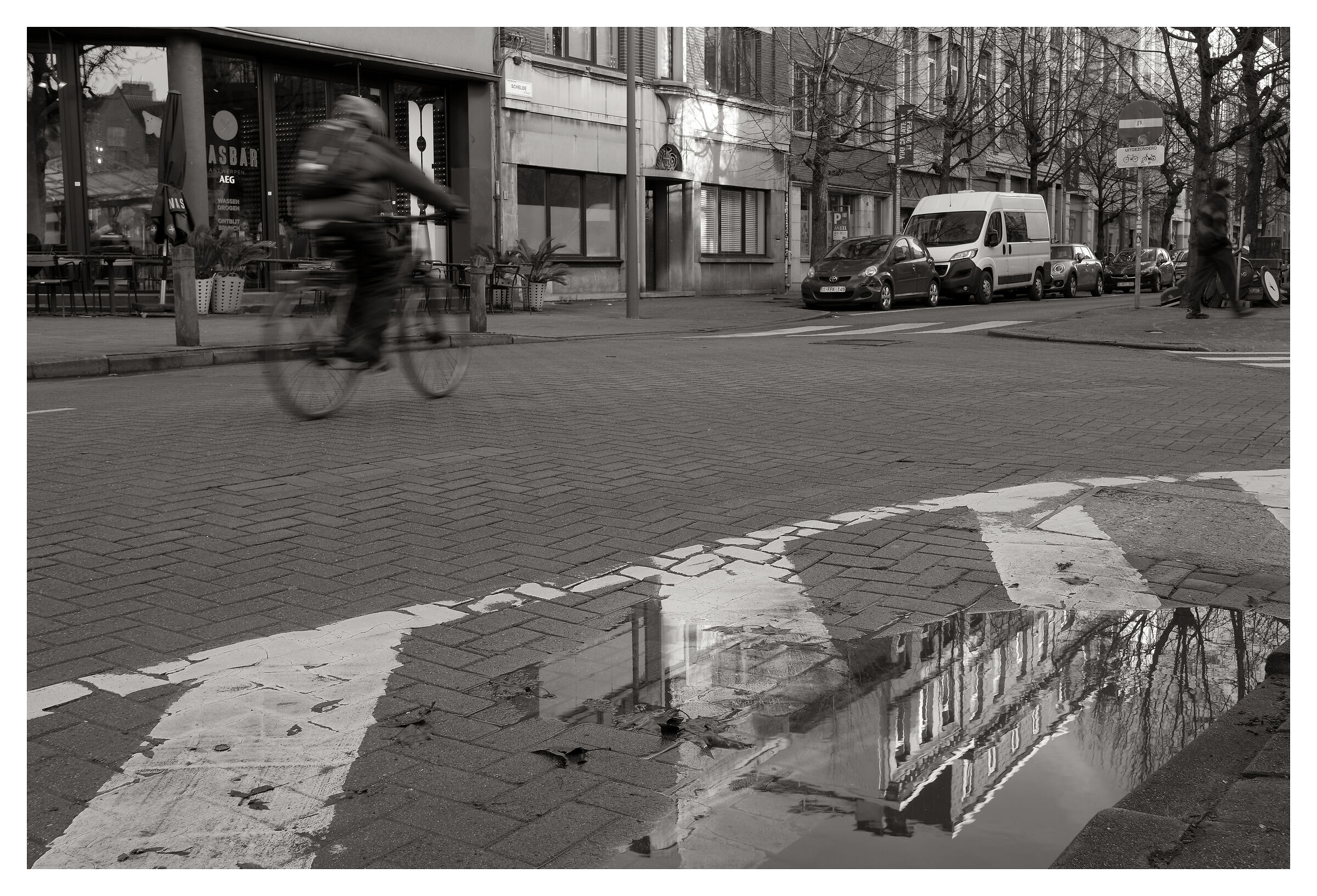 Biking in Antwerp