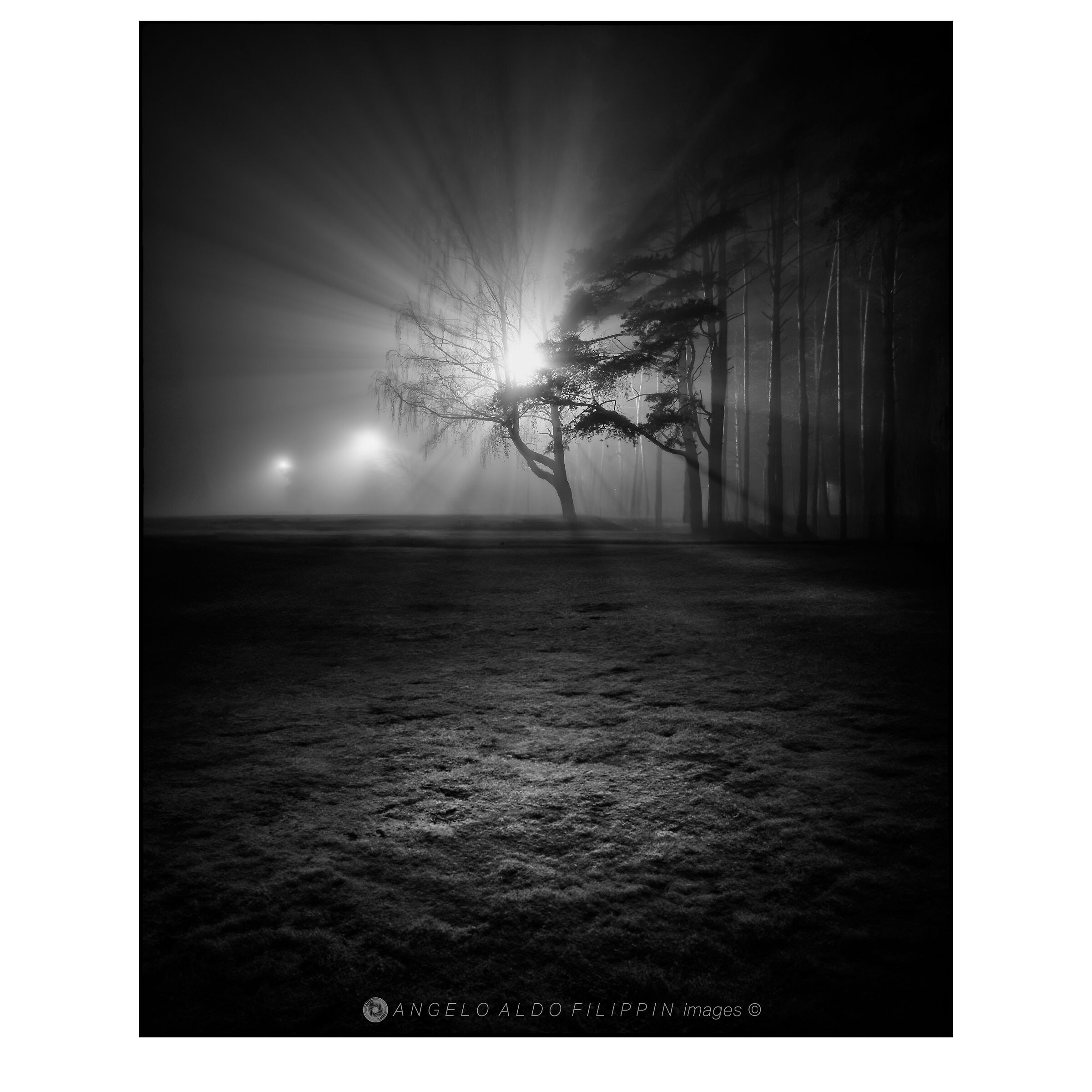 Notturno Veneto 2012