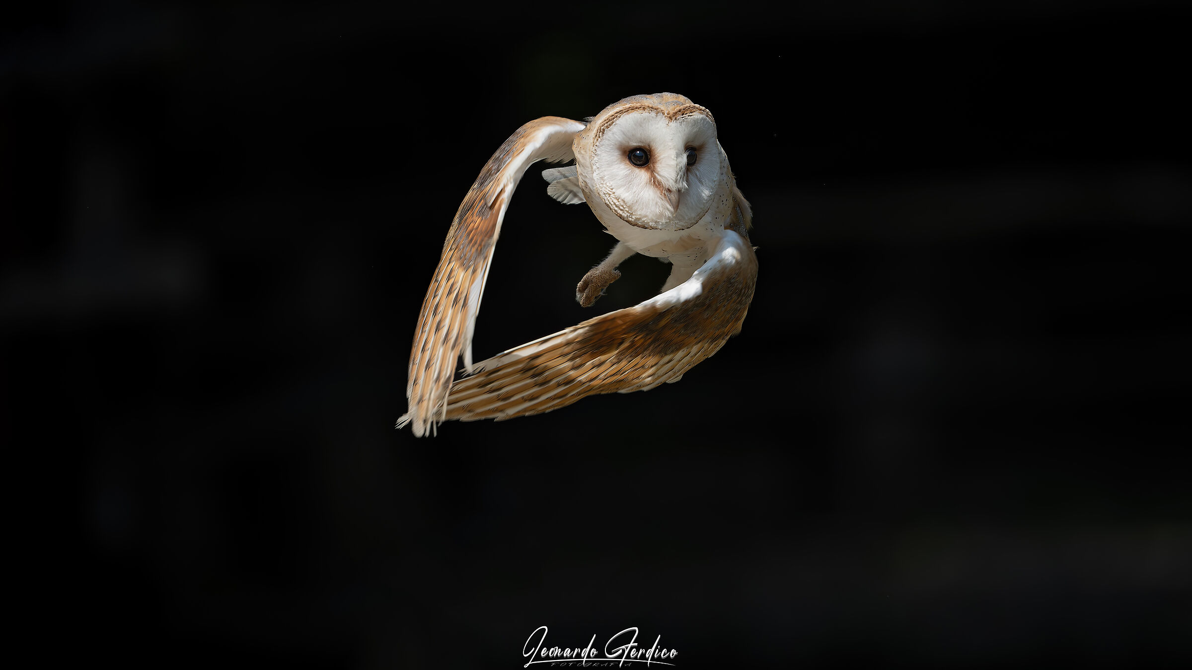 An alternative heart