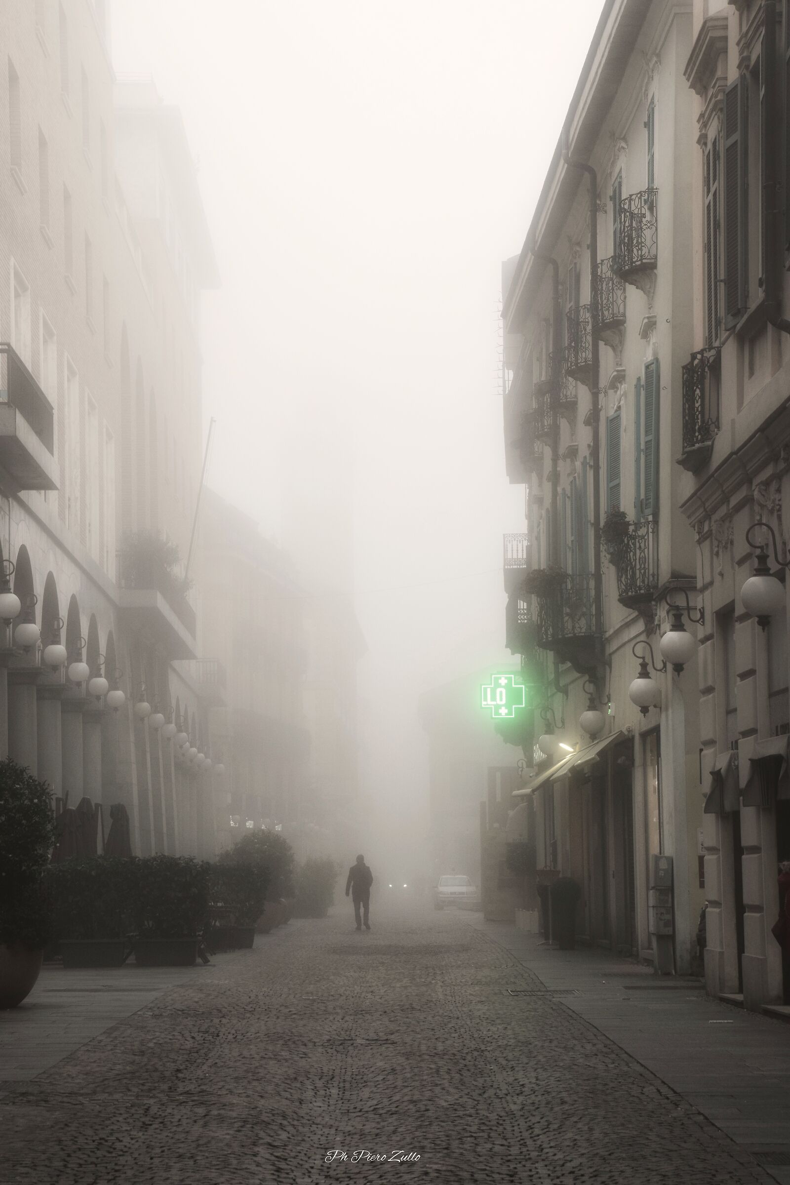 The Man in the Fog