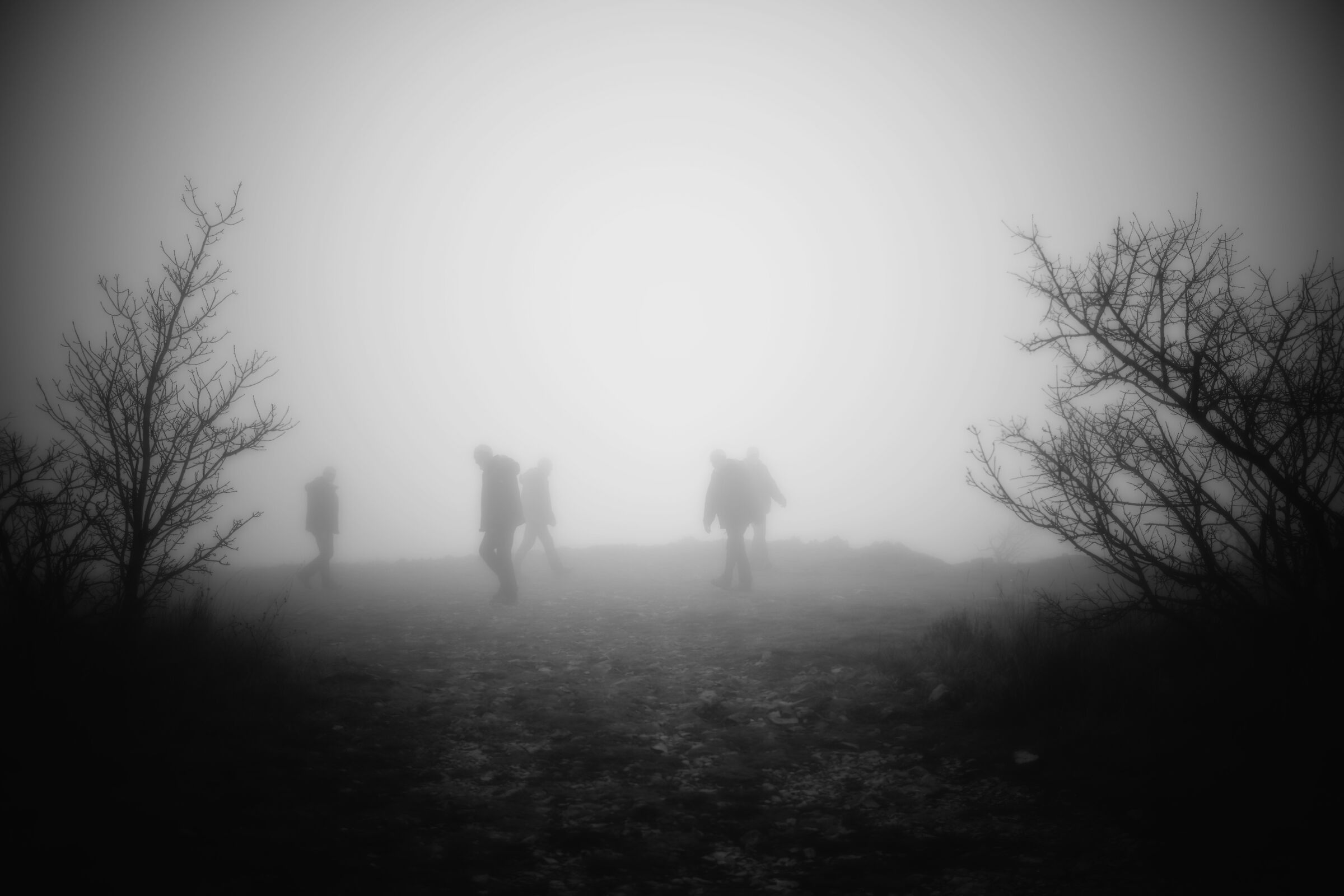 Qualcuno doveva averlo diffamato