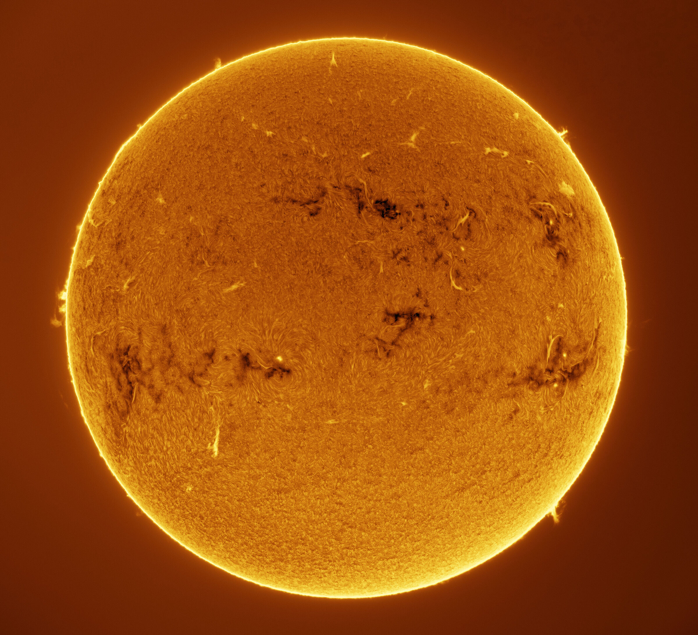 Il Sole di oggi (24.01.2026)