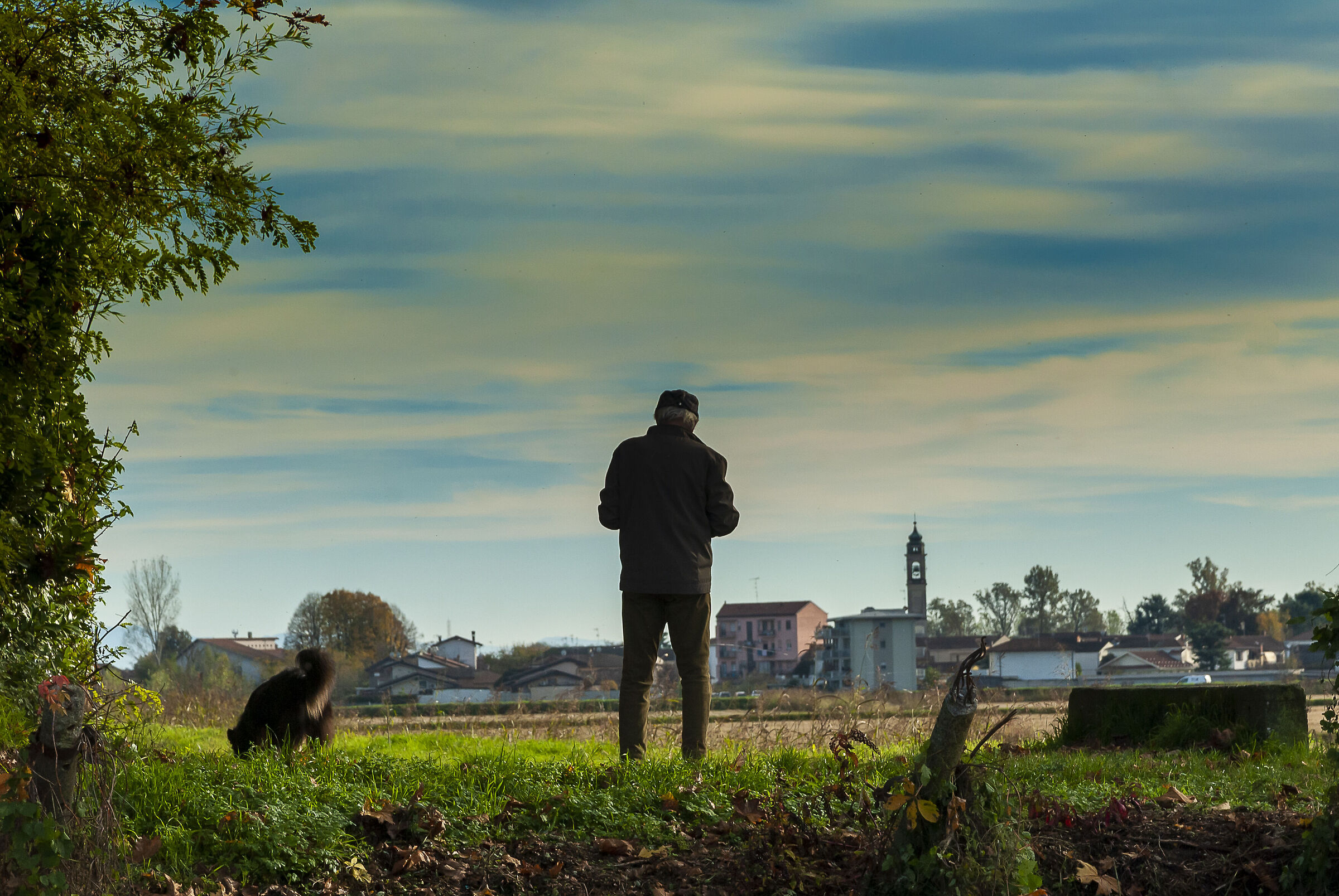 Vigevano countryside