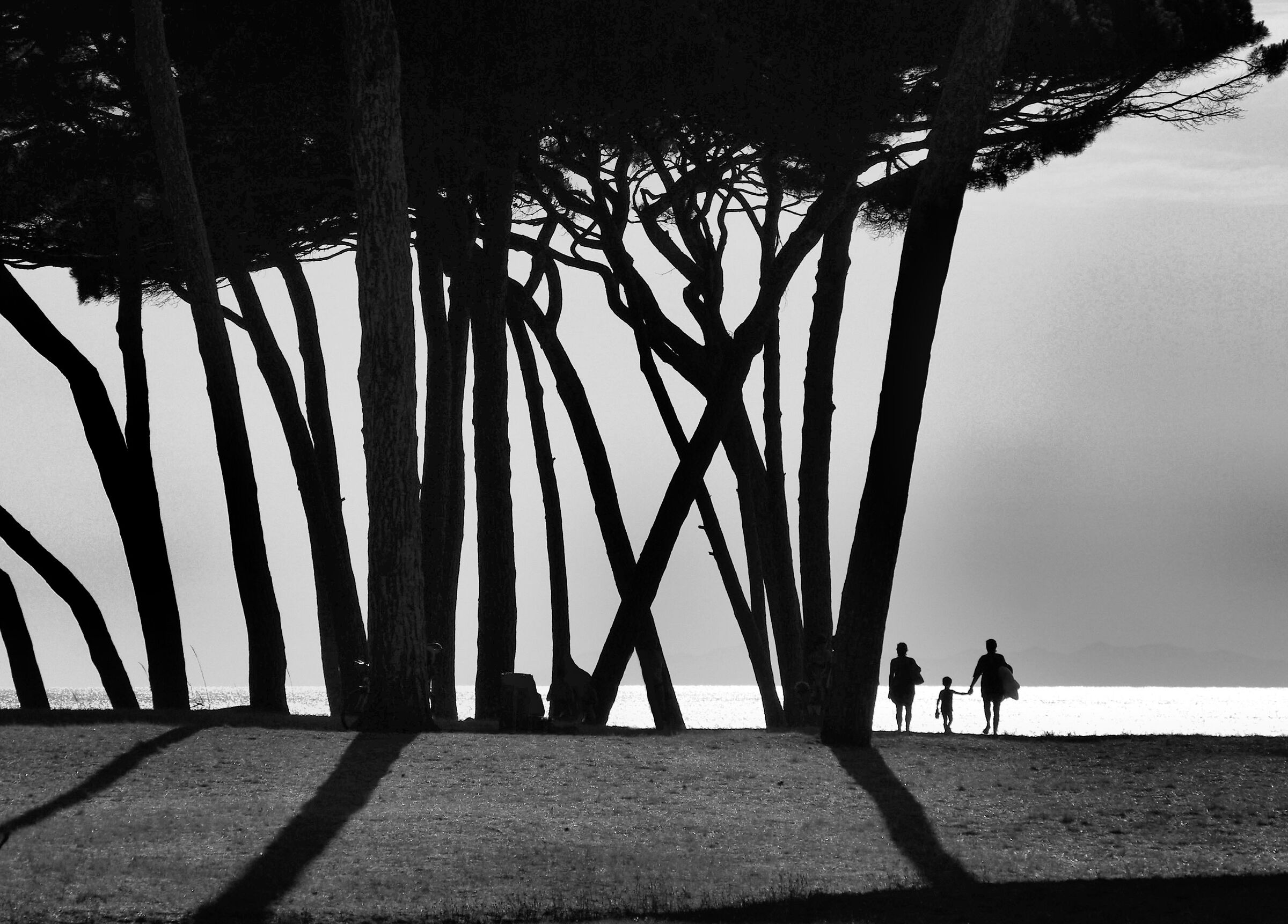 Verso il mare al tramonto
