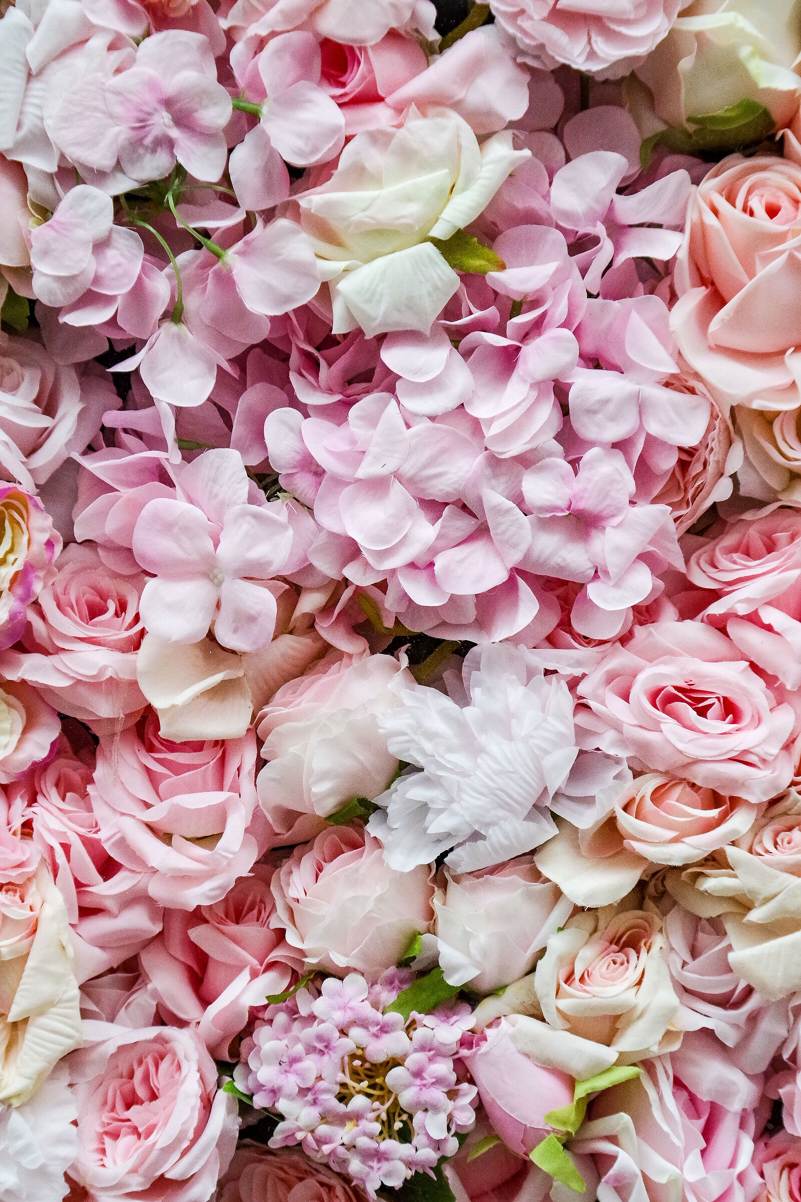 La vita e' un letto di rose