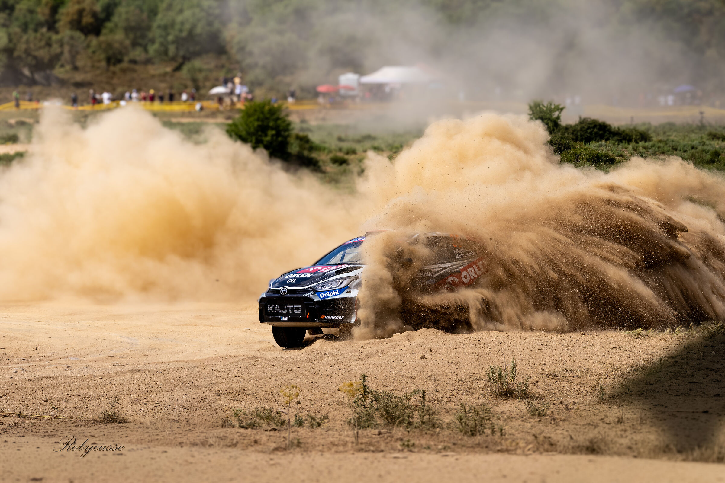 WRC Sardinia 25 powder