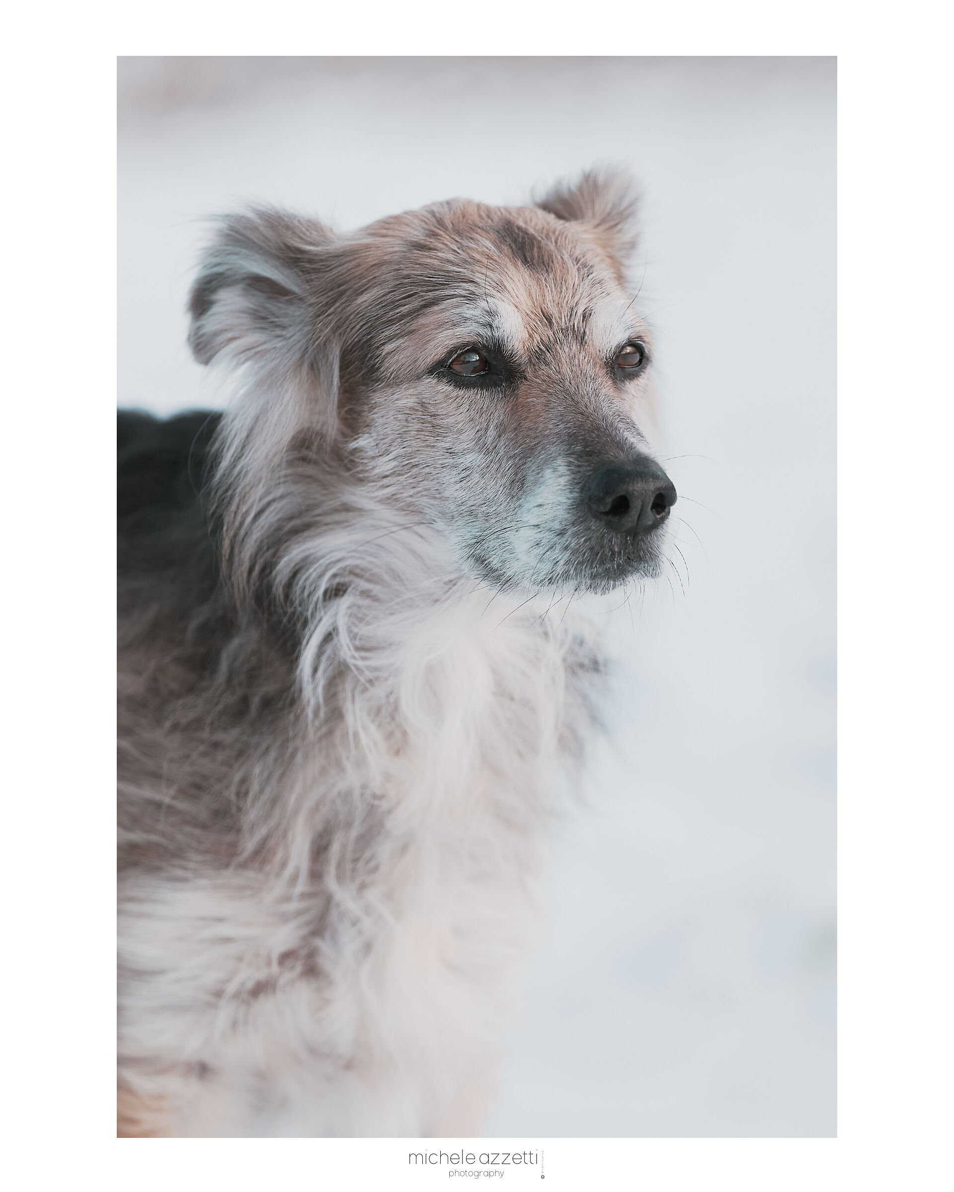 Yuki