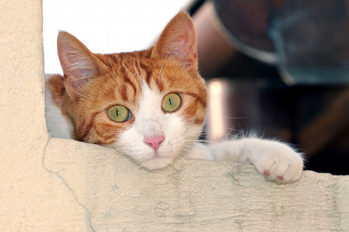 Sympathy at first sight