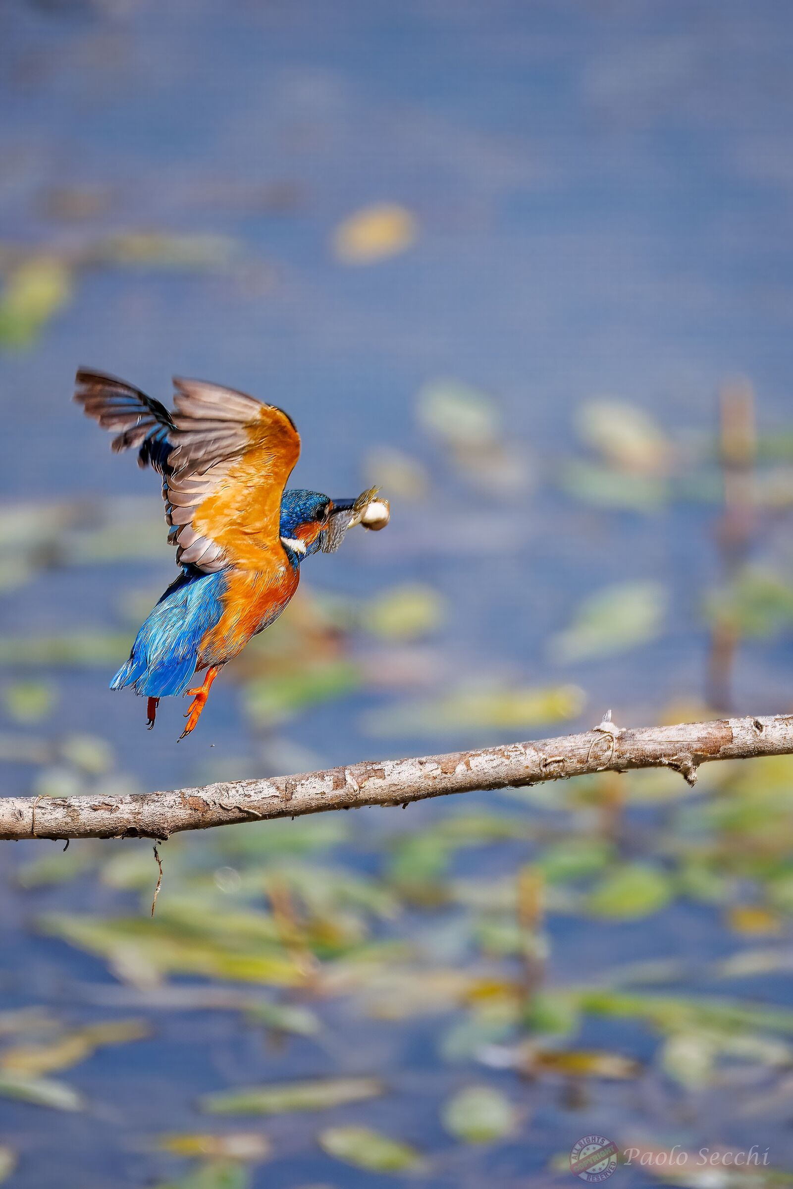 Another trip to the nest