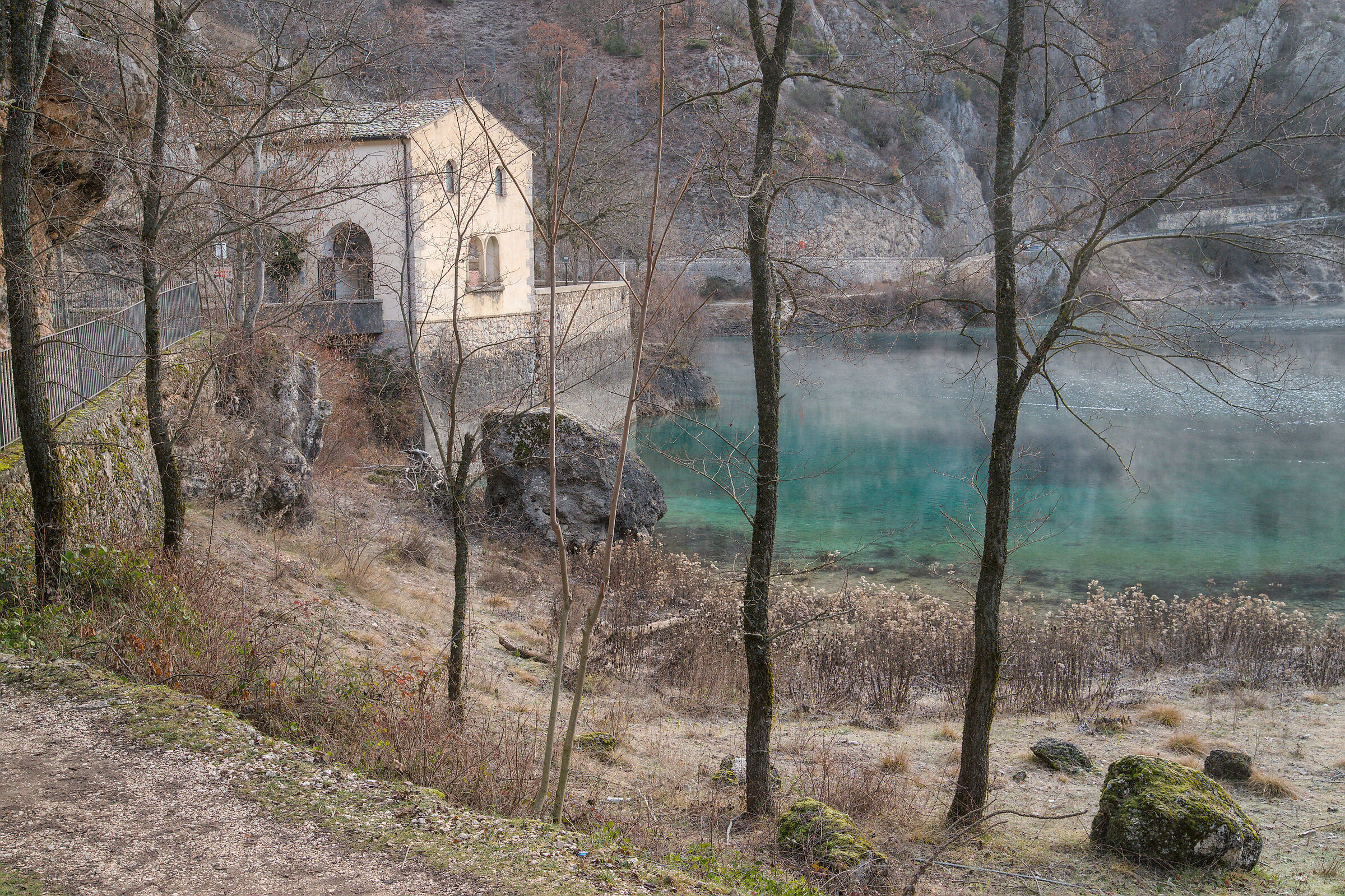Untitled Photo