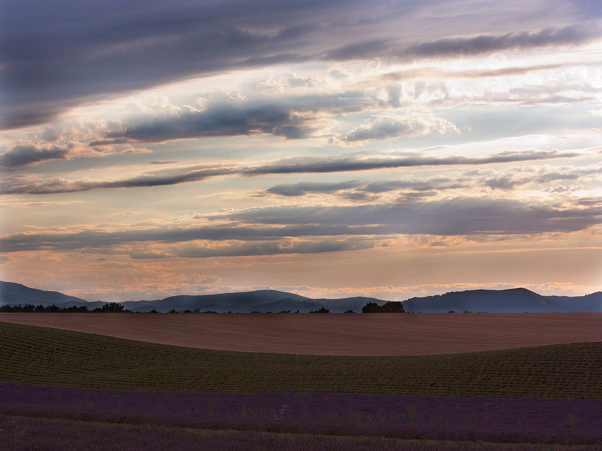 Sunset in Valensole
