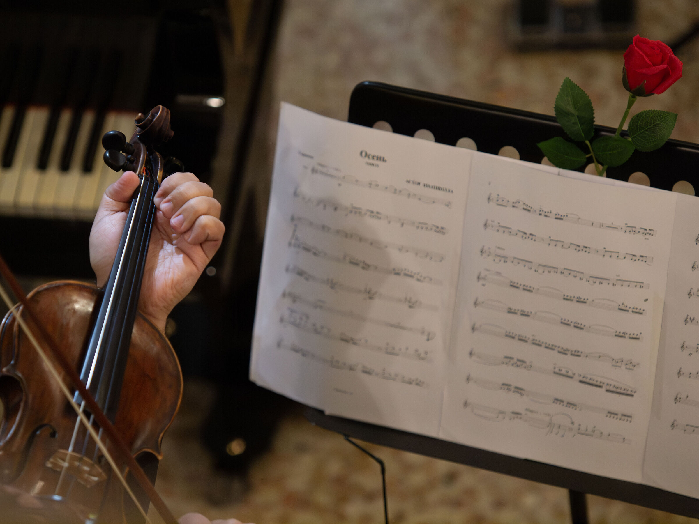 The rose and the violin