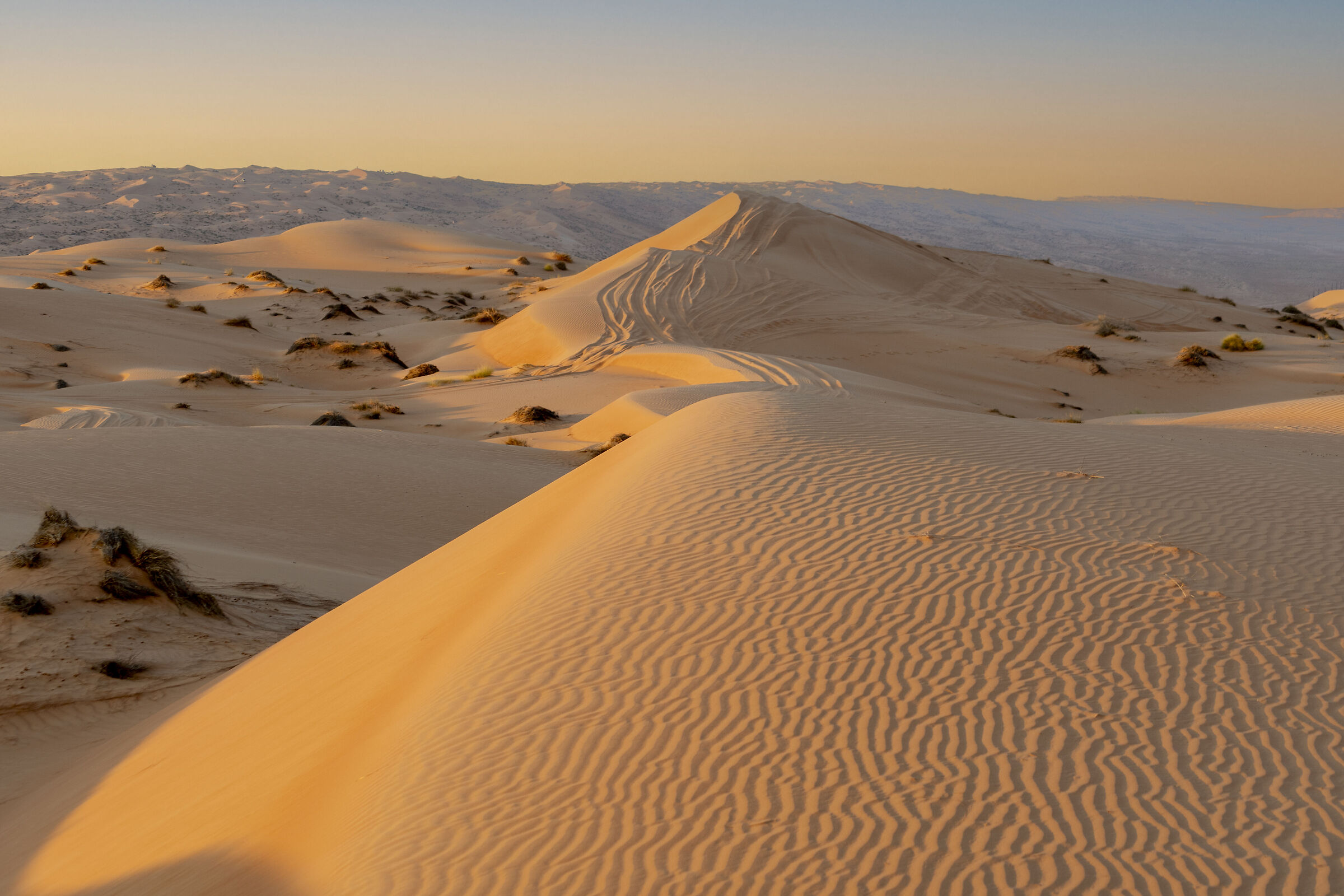 Wahiba Sands Desert