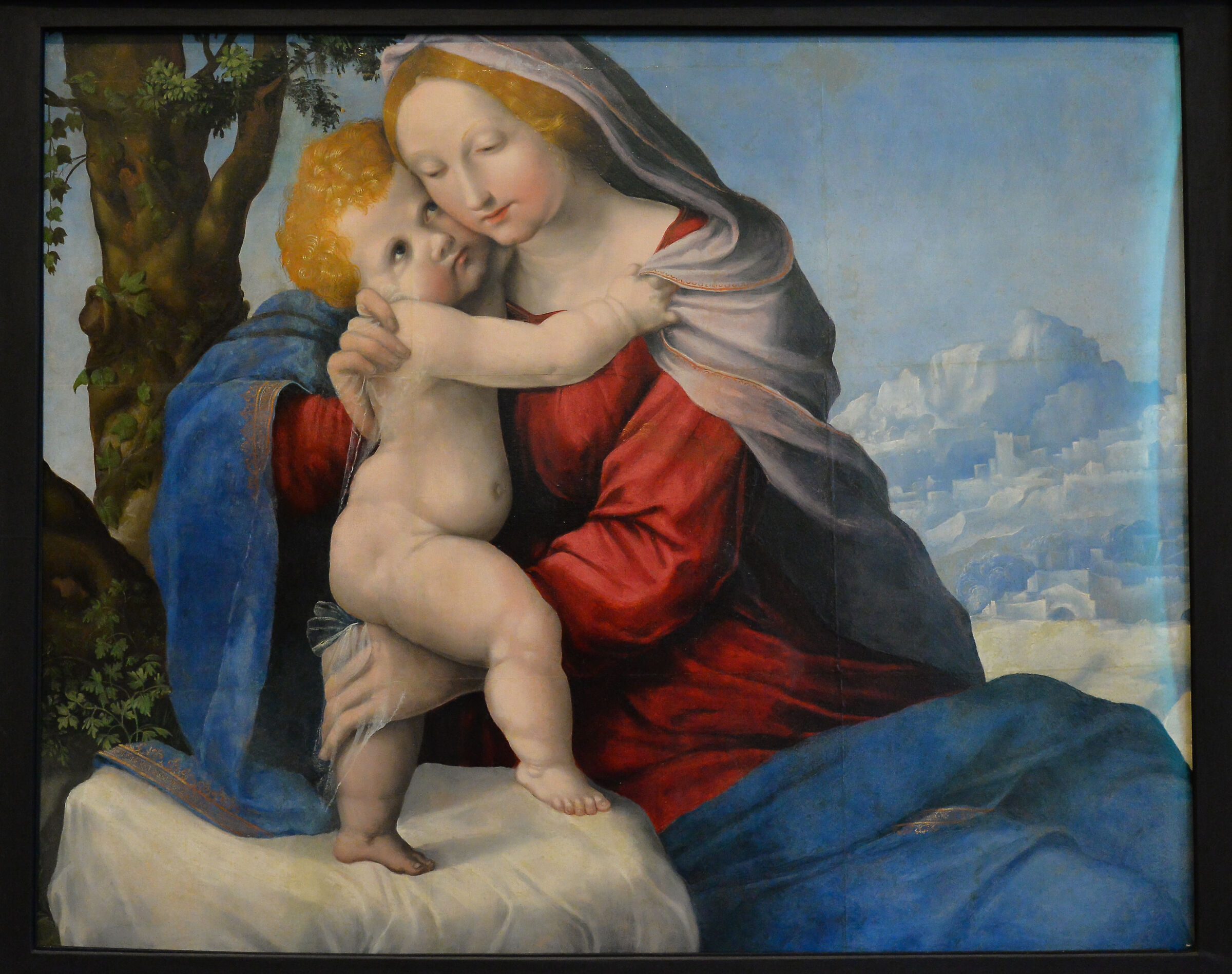 A la Raphael, Musei Reali di Torino