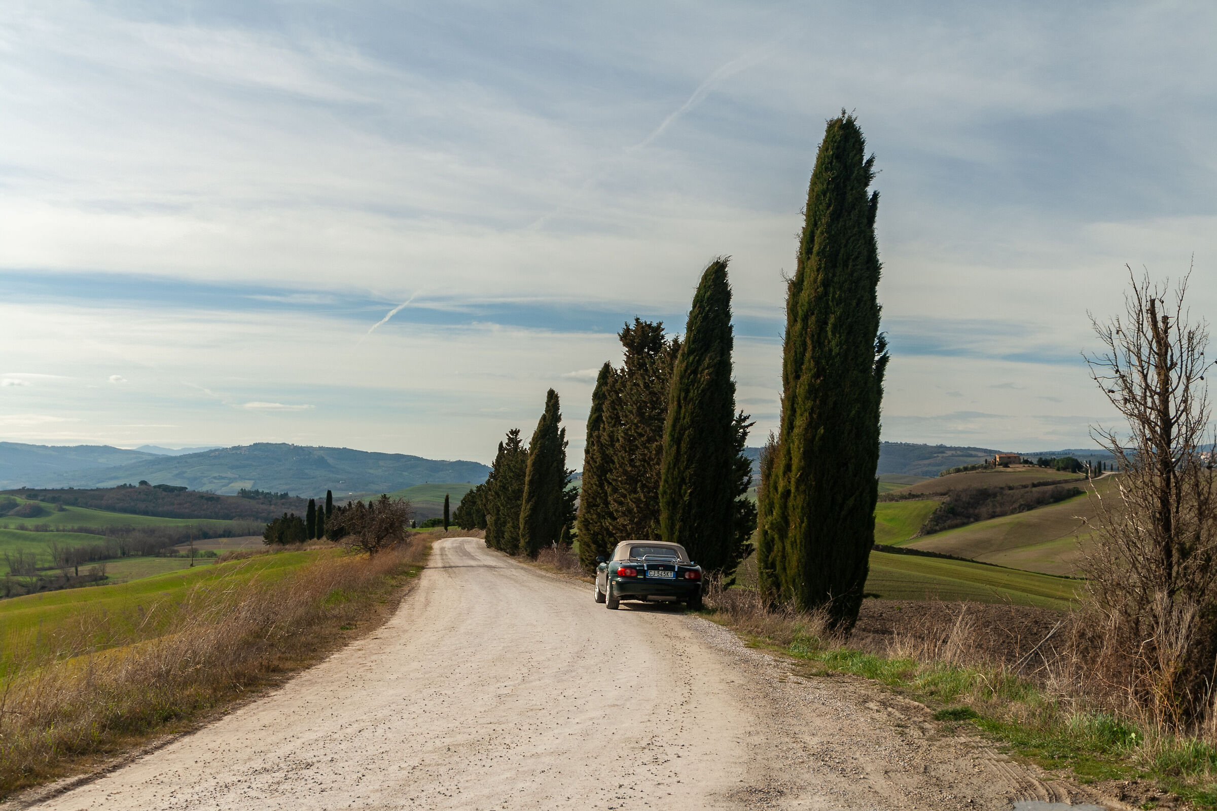 Road to Pienza #4