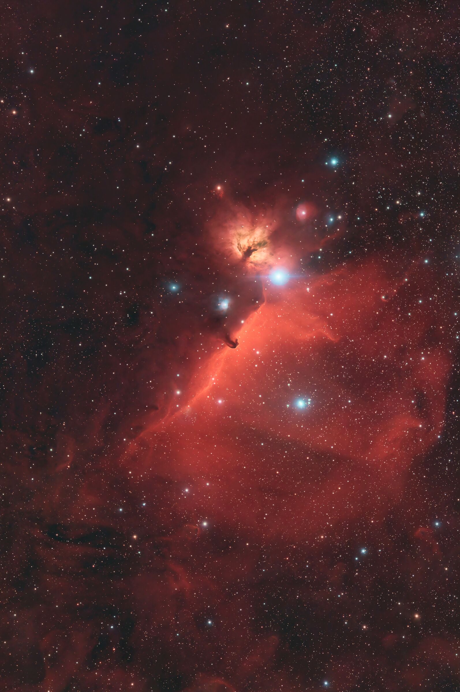 ic434 nebulosa Testa di Cavallo