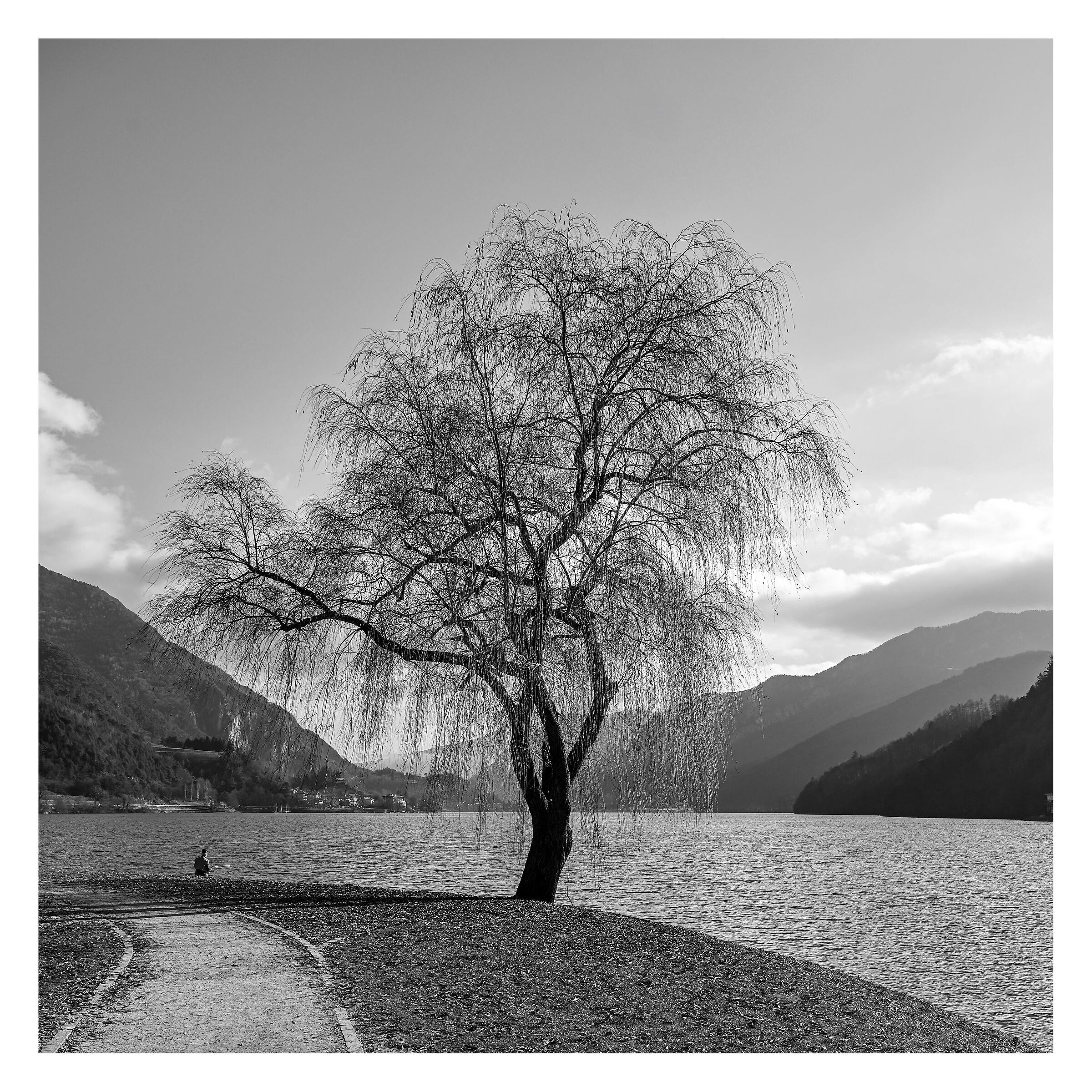 Fredda mattina d'inverno