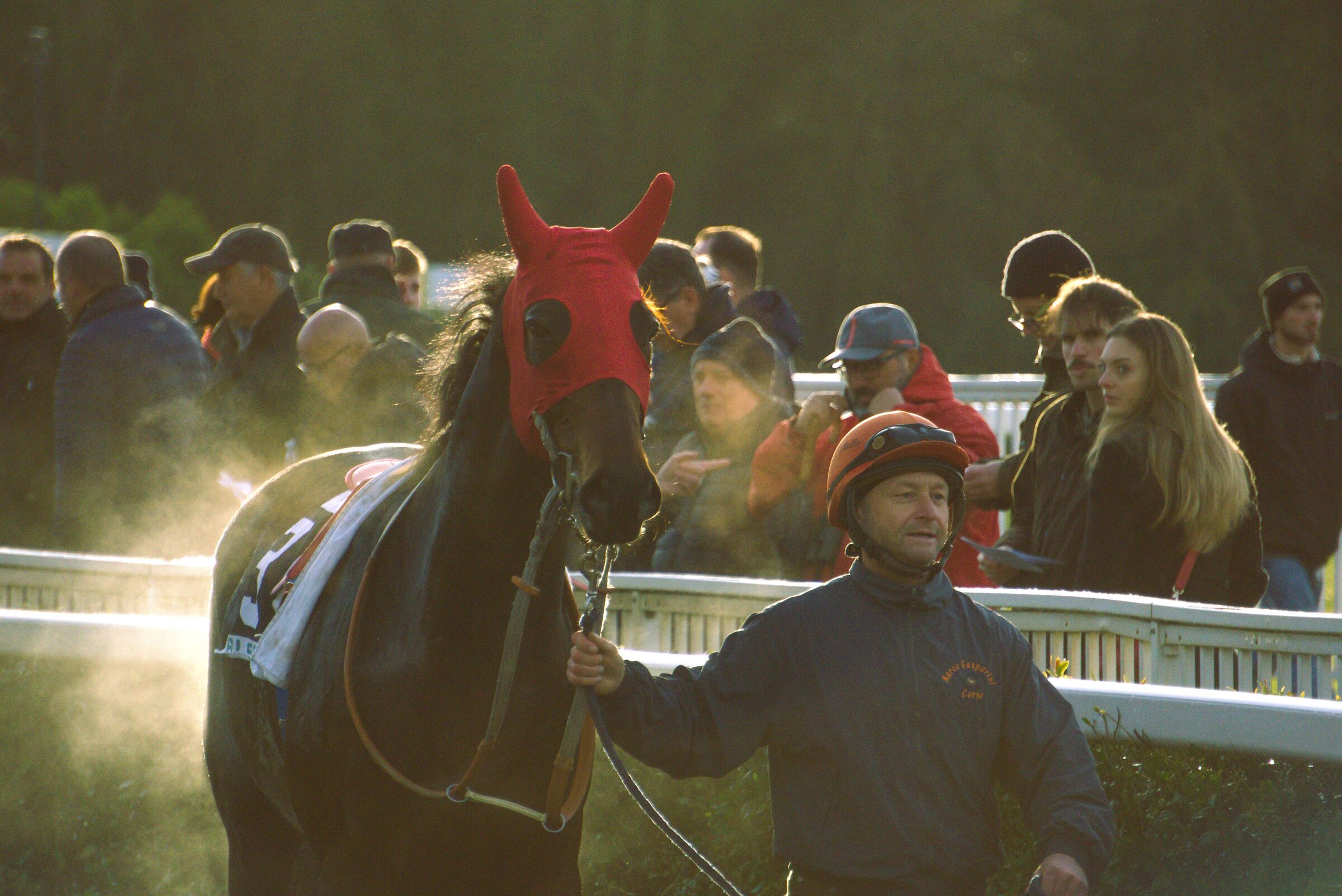 Smoking horse after race