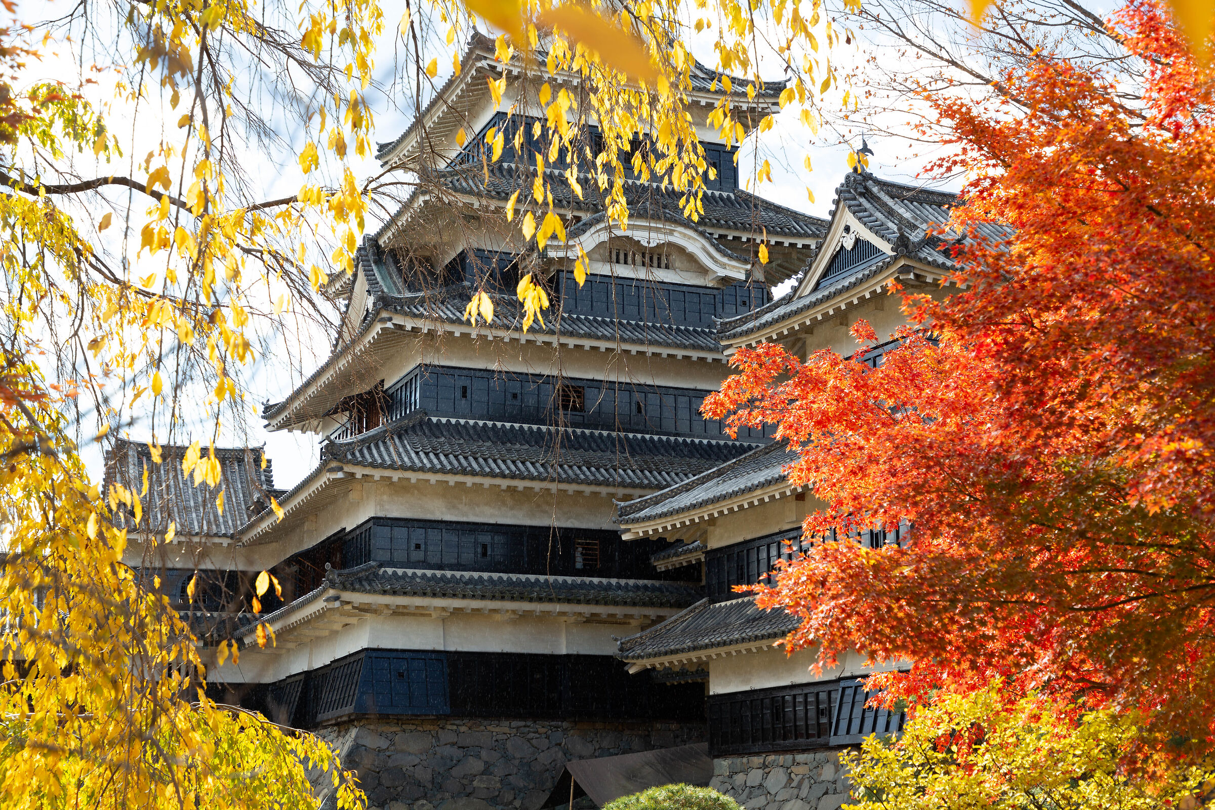 Matsumoto's Castle