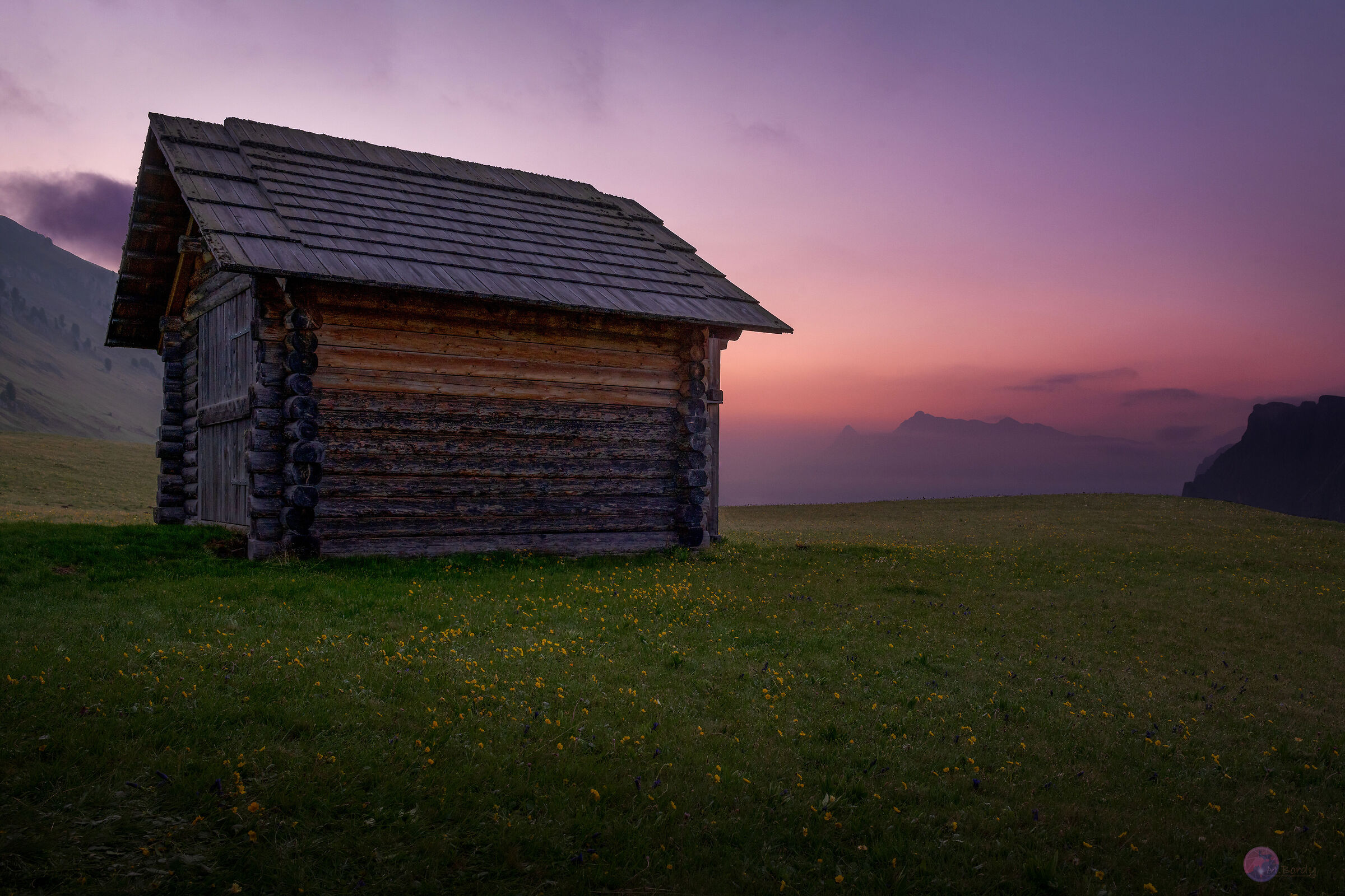 Enchanted prairies