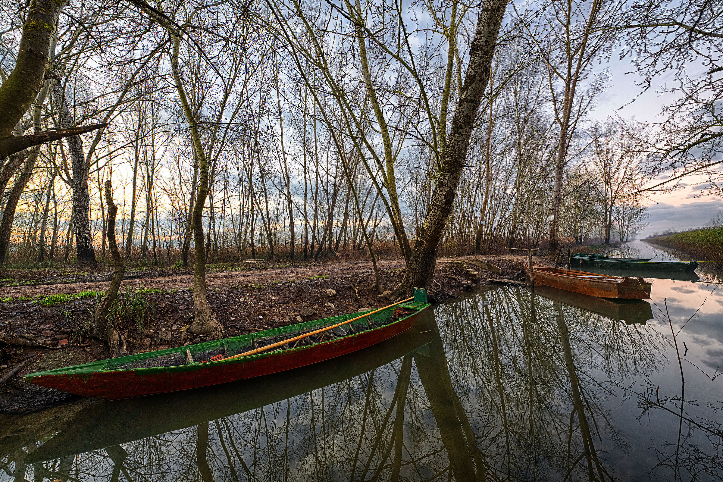 Padule di Fucecchio
