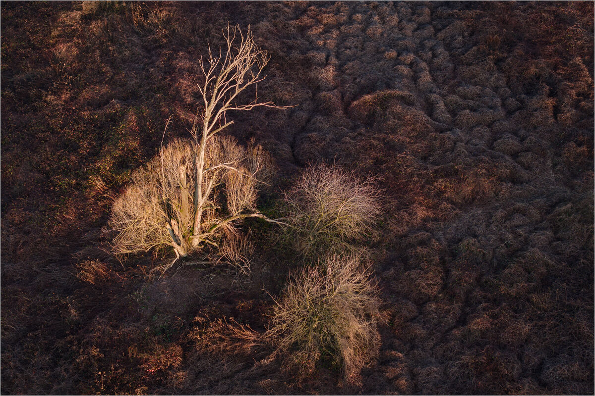 Dried-Up