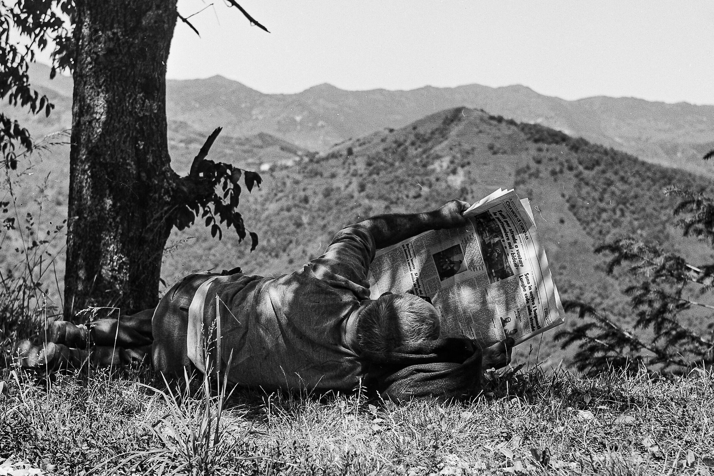 Siesta