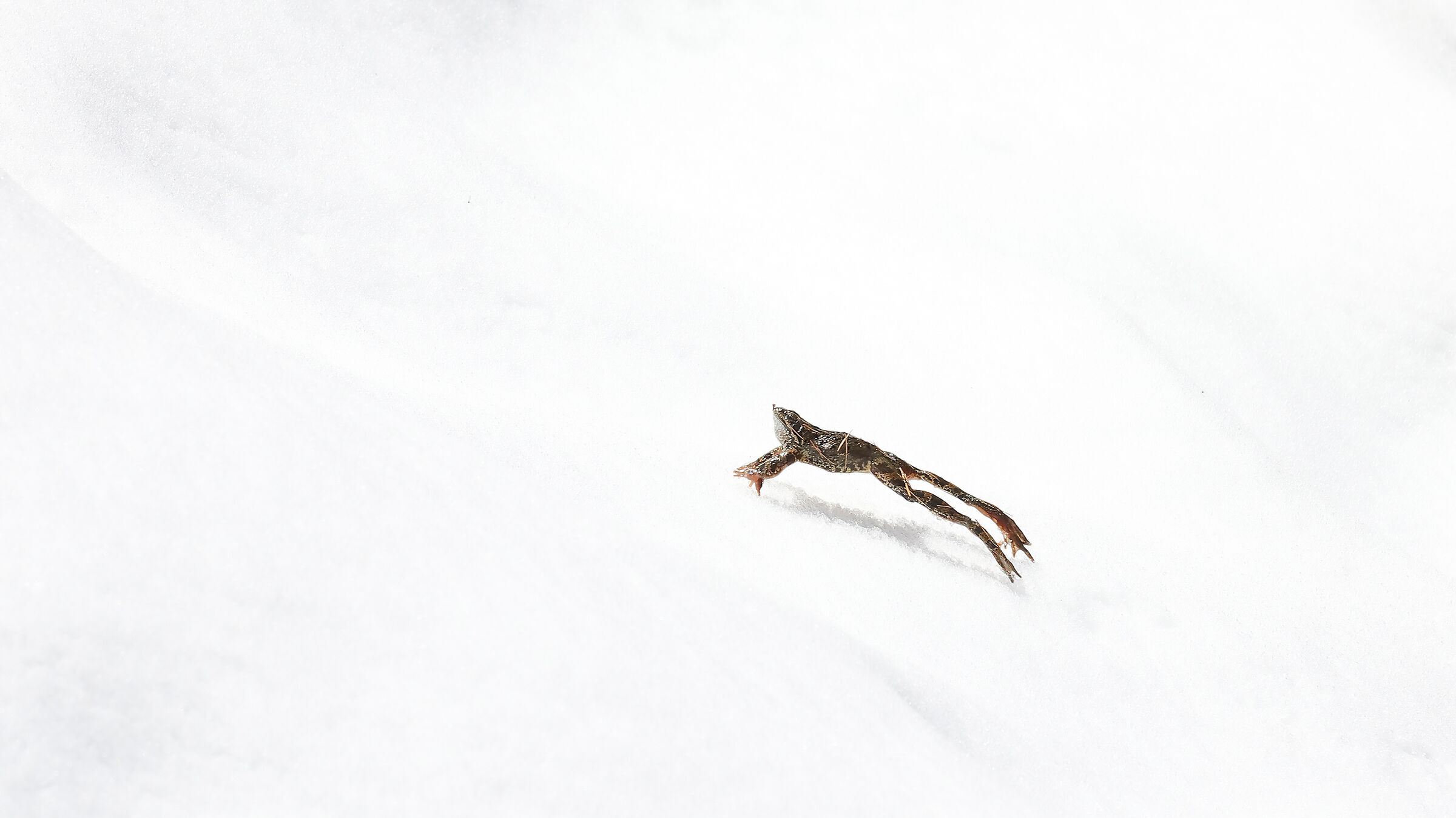 First jumps on the snow