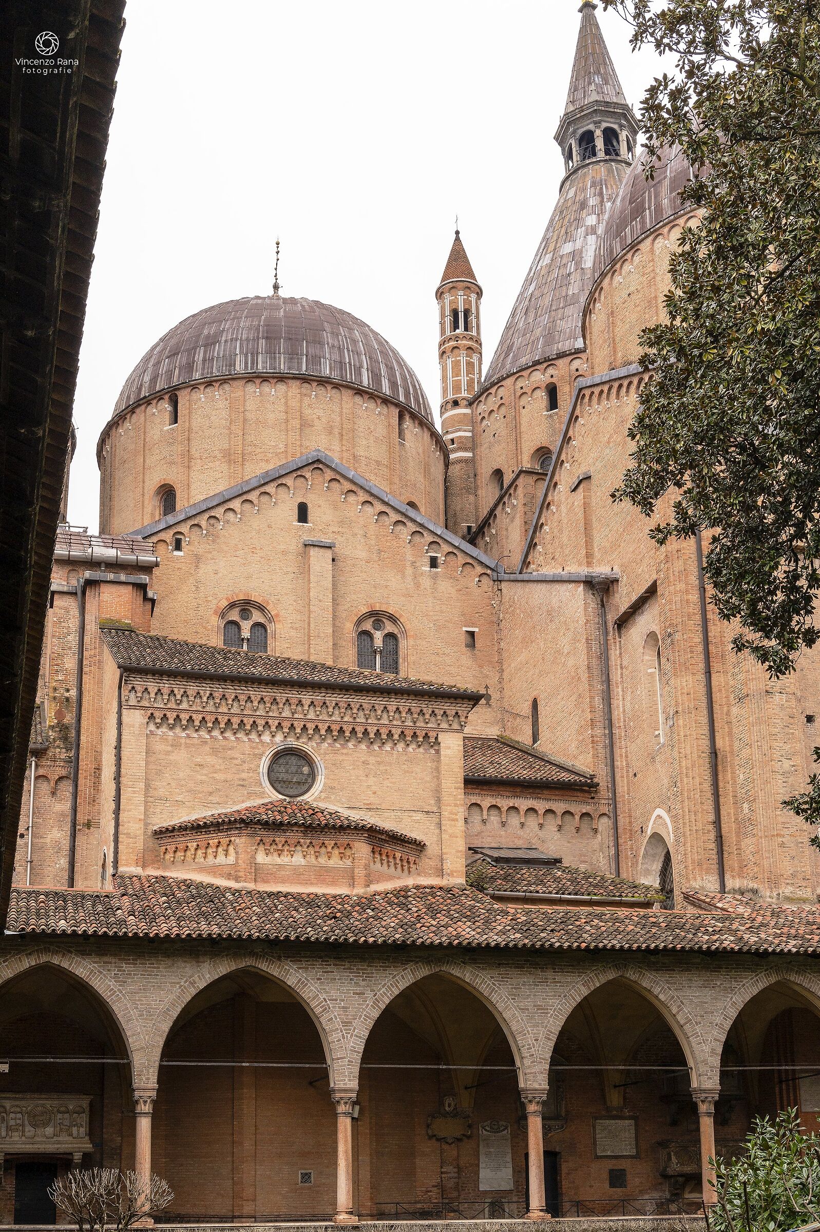 Basilica of Sant'Antonio, Cloister of the Magnolia